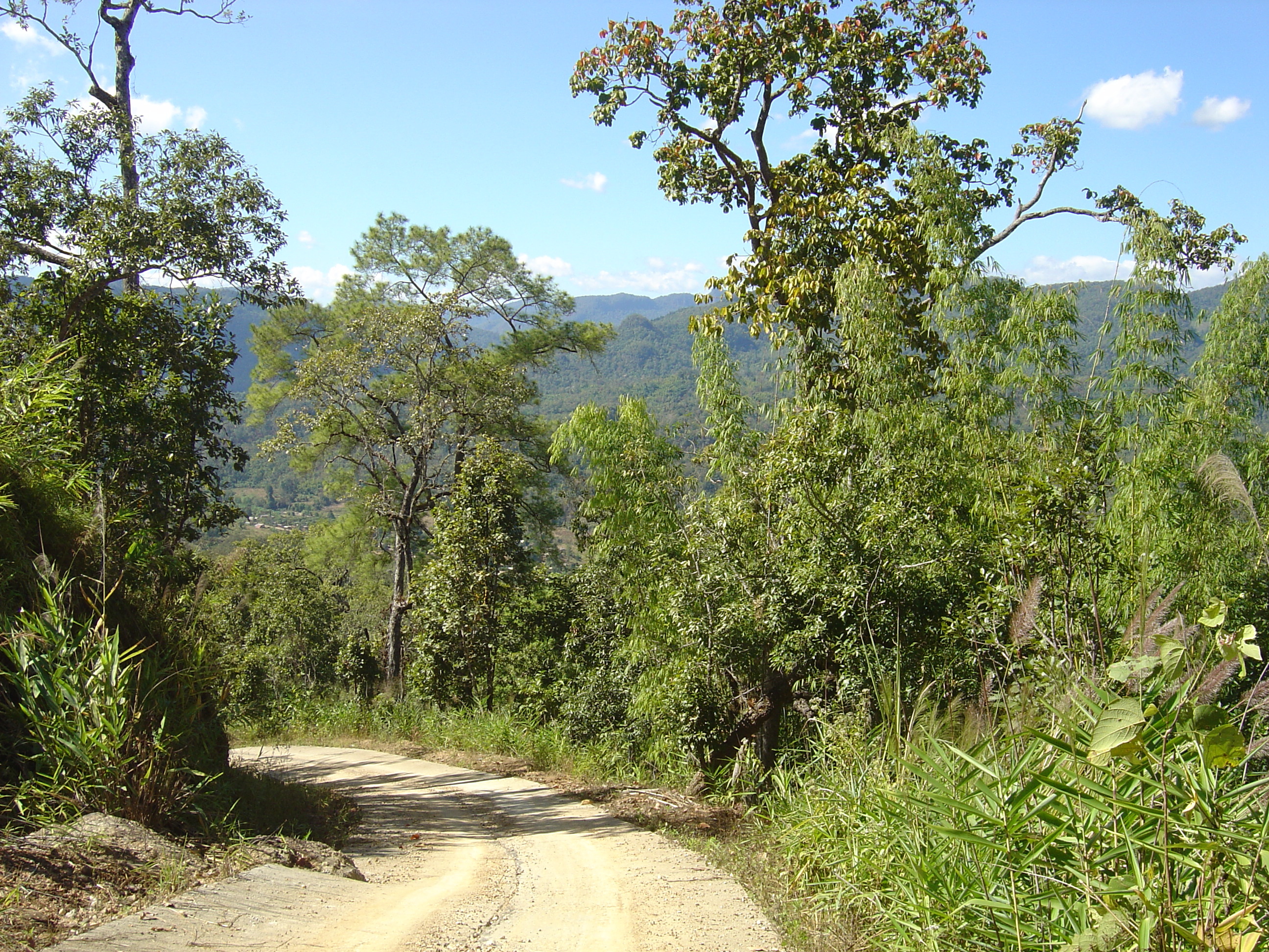 Picture Thailand Pang ma pha 2005-12 20 - Journey Pang ma pha