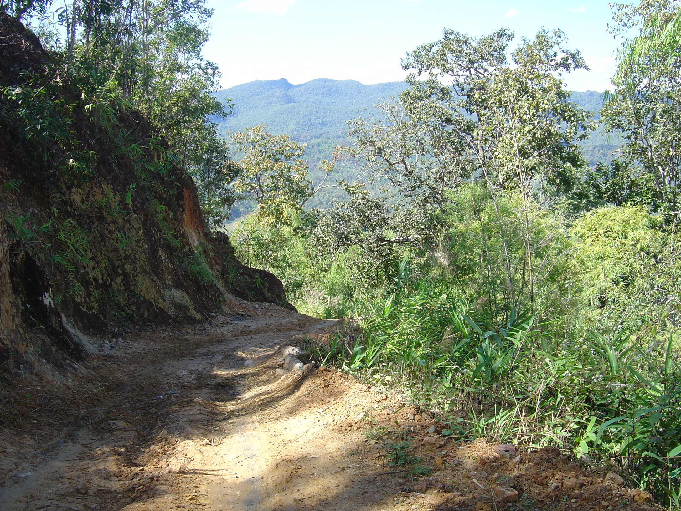 Picture Thailand Pang ma pha 2005-12 25 - Tour Pang ma pha