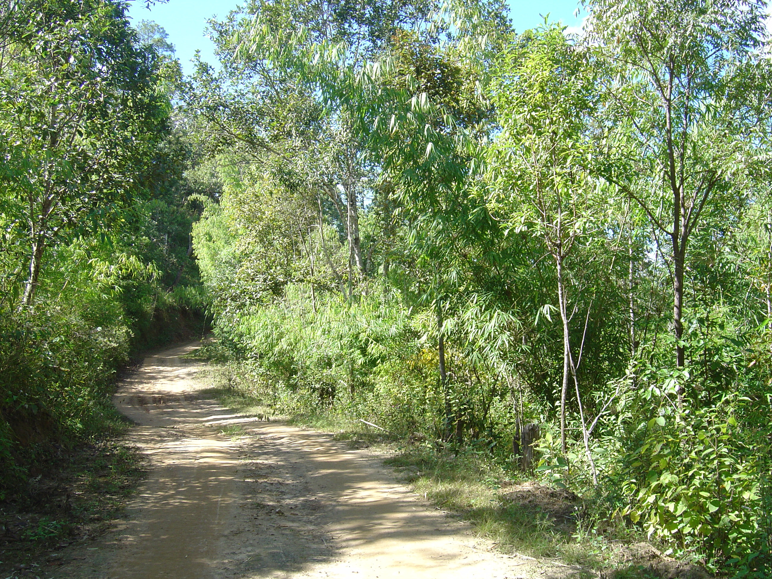 Picture Thailand Pang ma pha 2005-12 215 - Discovery Pang ma pha