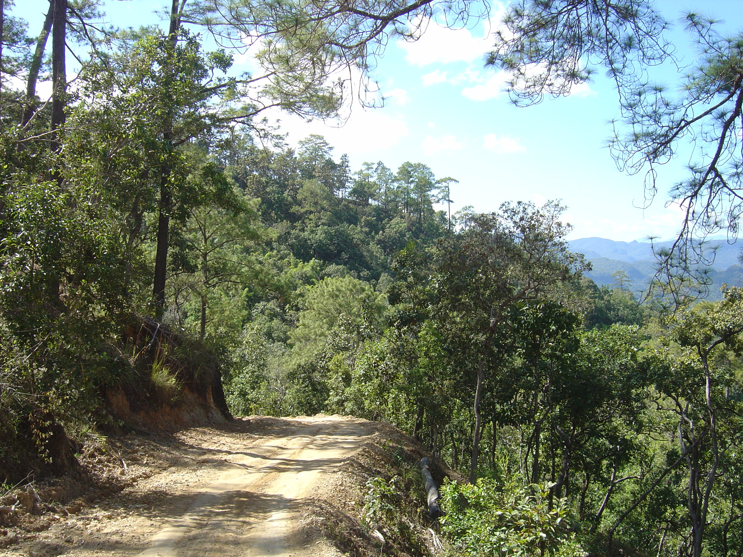 Picture Thailand Pang ma pha 2005-12 208 - Journey Pang ma pha