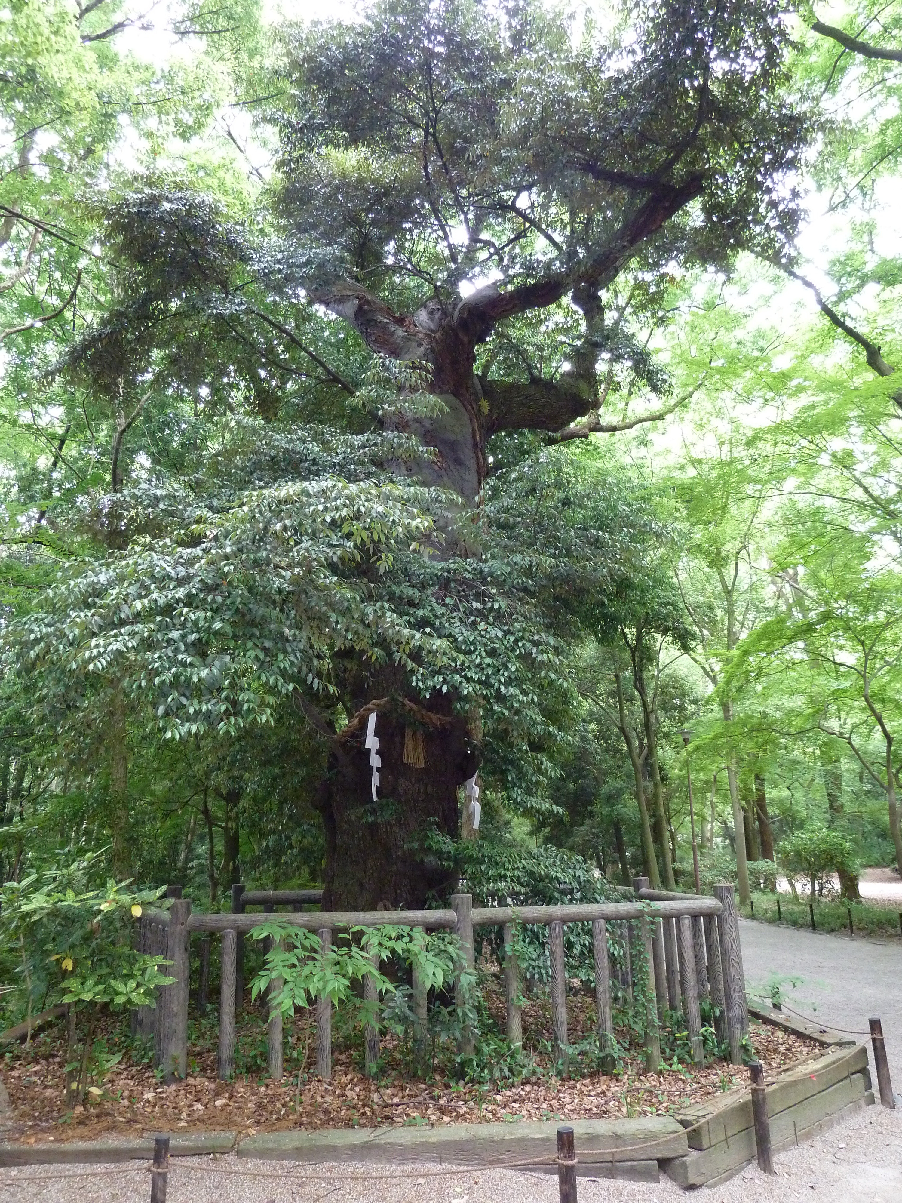 Picture Japan Kyoto Kamomioya Shrine(Shimogamo Shrine) 2010-06 18 - Center Kamomioya Shrine(Shimogamo Shrine)