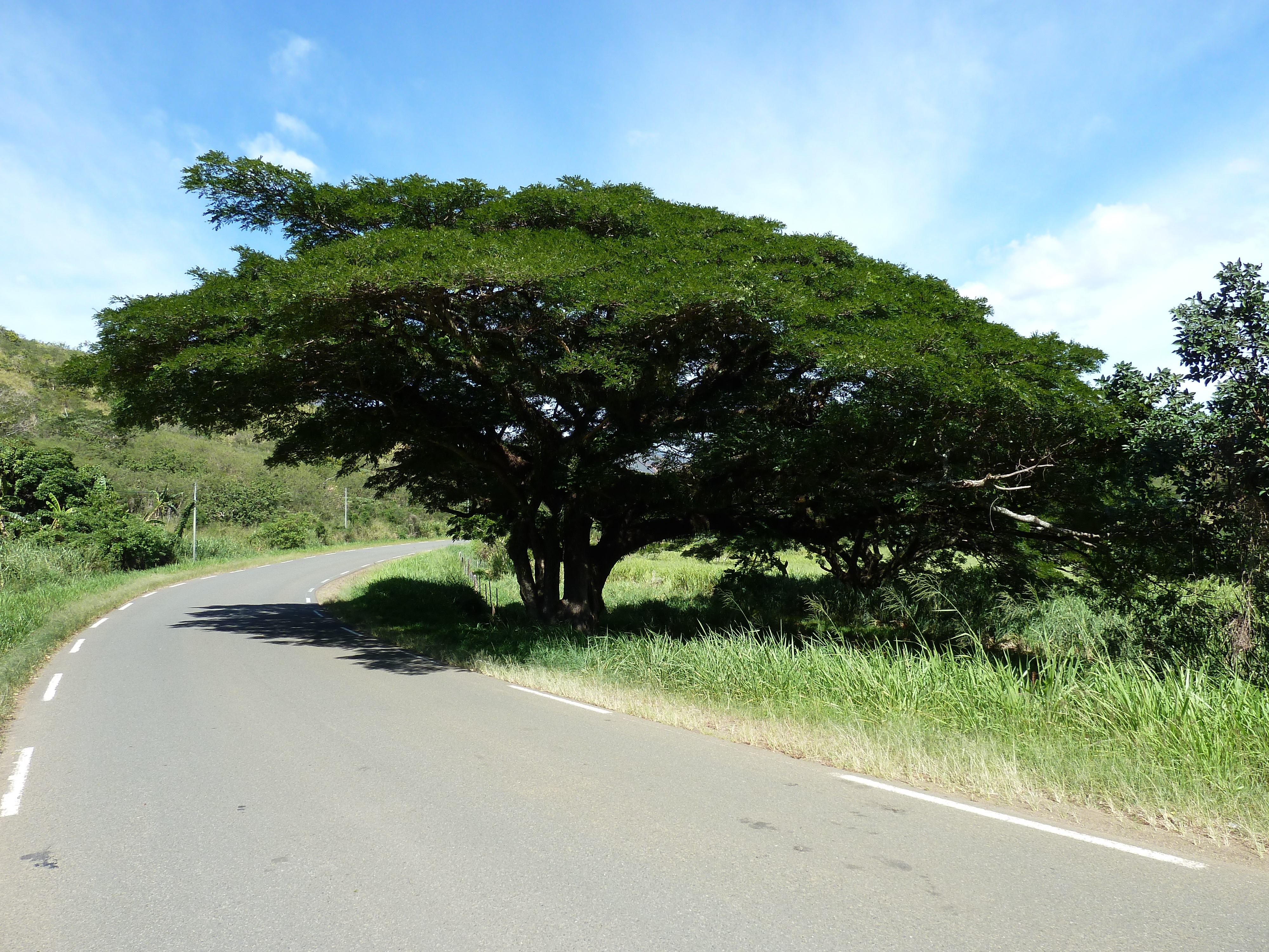 Picture New Caledonia Tontouta to Thio road 2010-05 25 - Center Tontouta to Thio road