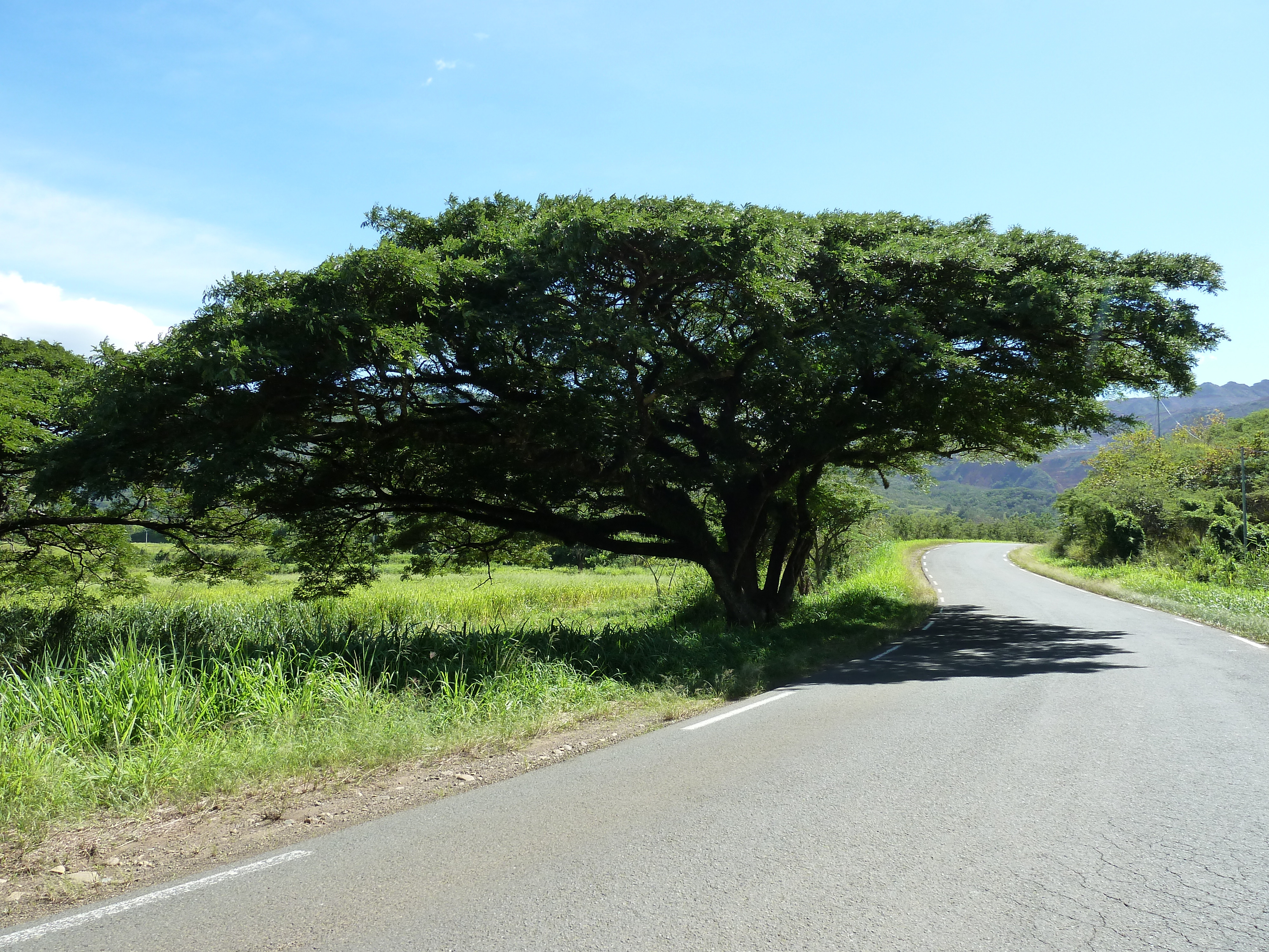 Picture New Caledonia Tontouta to Thio road 2010-05 100 - History Tontouta to Thio road