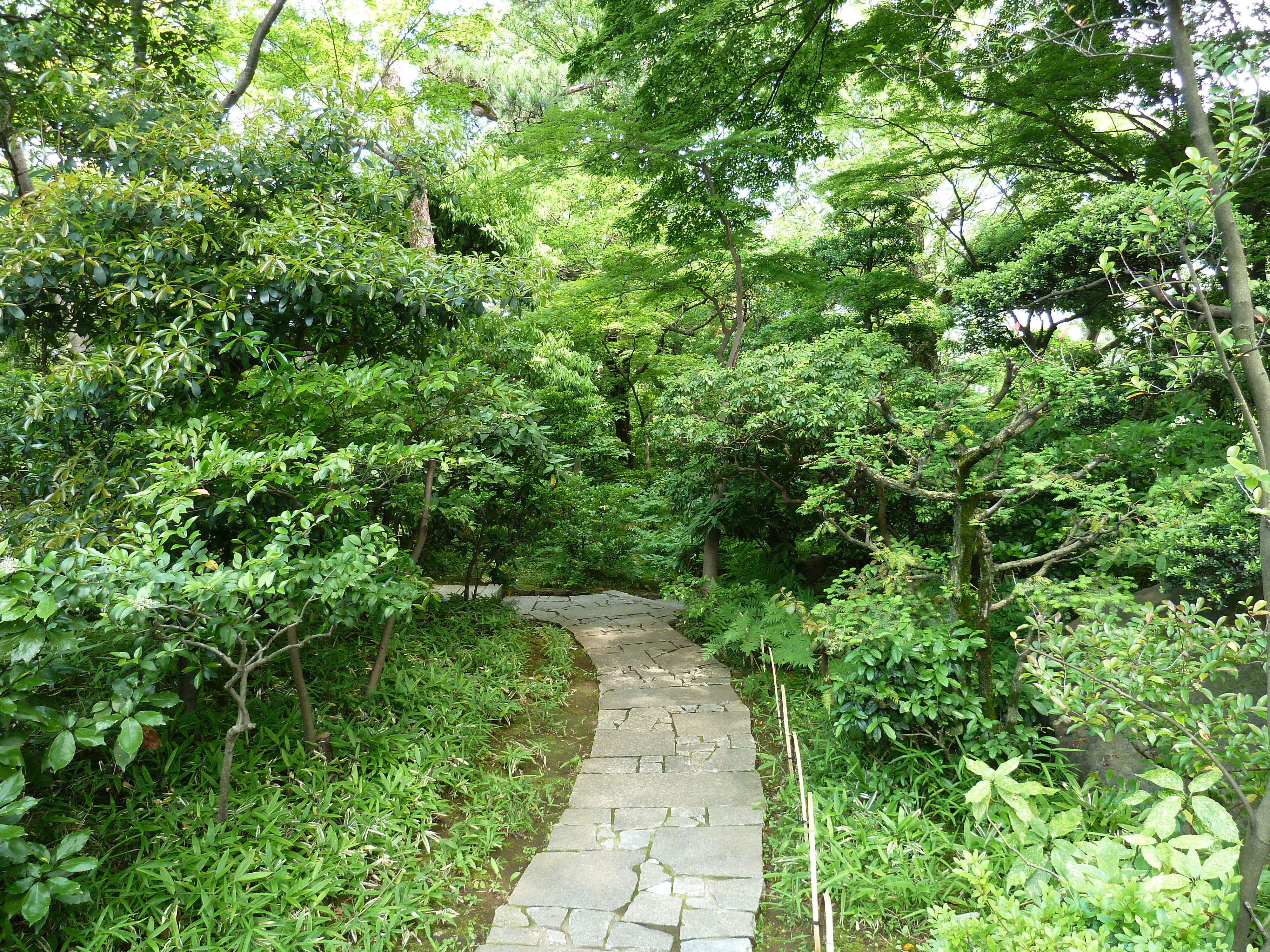 Picture Japan Tokyo Nezu Museum 2010-06 16 - Discovery Nezu Museum