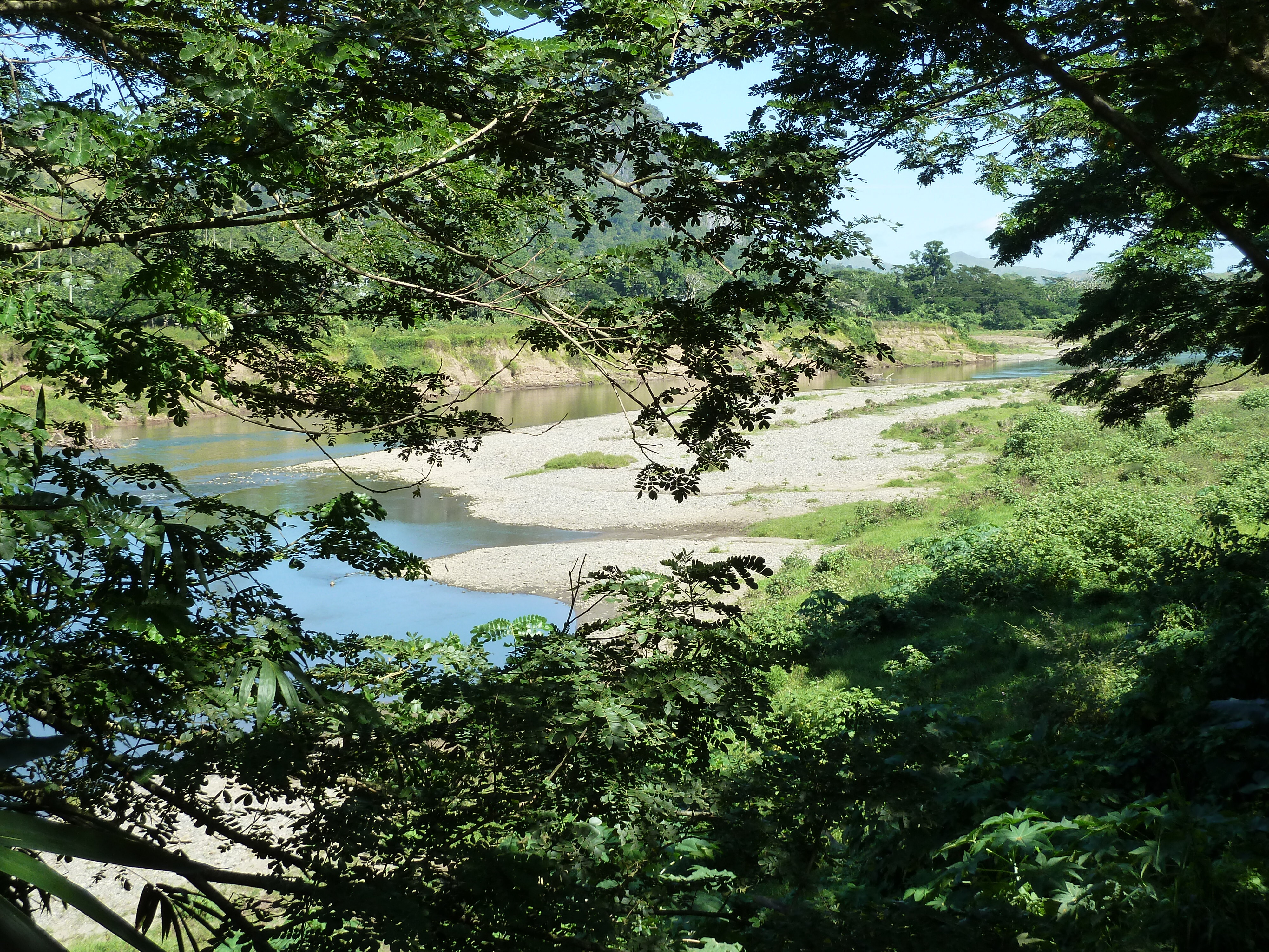 Picture Fiji Sigatoka river 2010-05 62 - Tour Sigatoka river