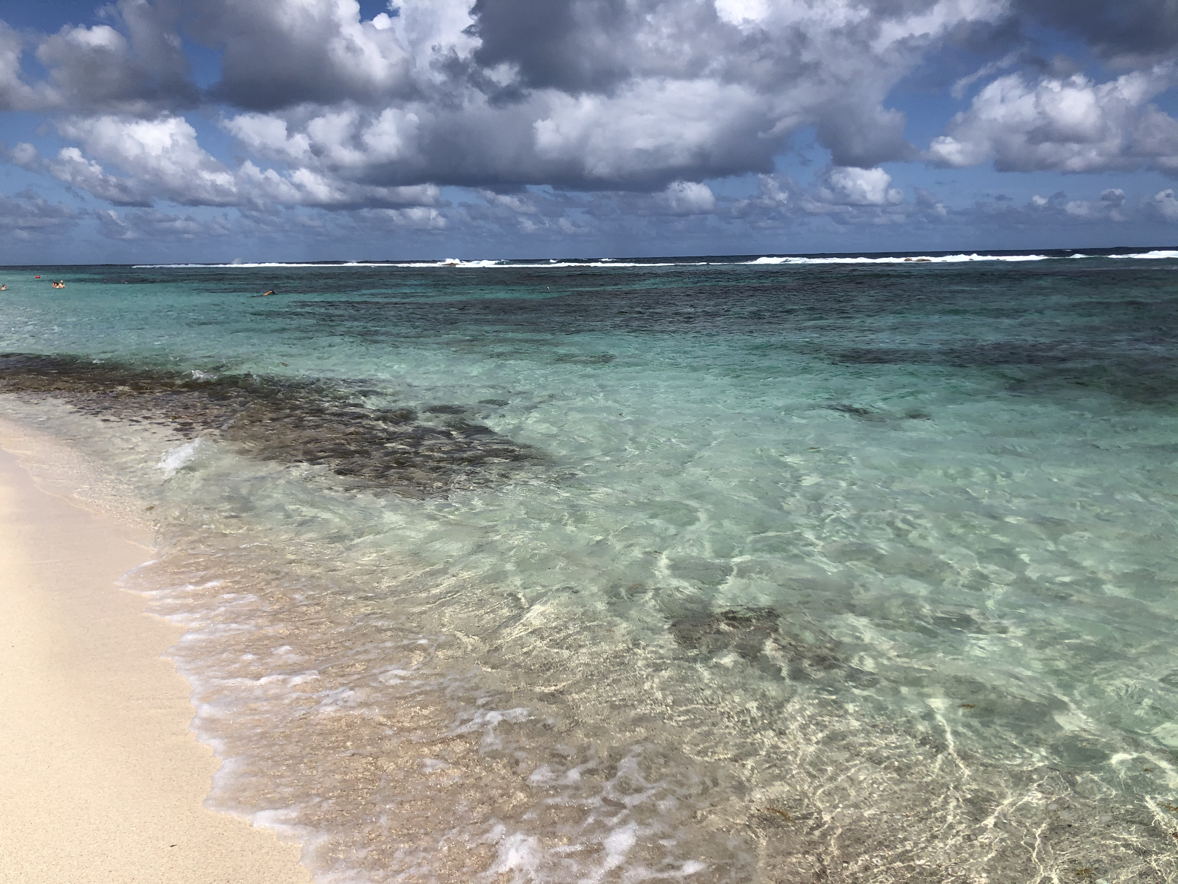 Picture Guadeloupe Grande Anse des Salines Beach 2021-02 1 - Recreation Grande Anse des Salines Beach