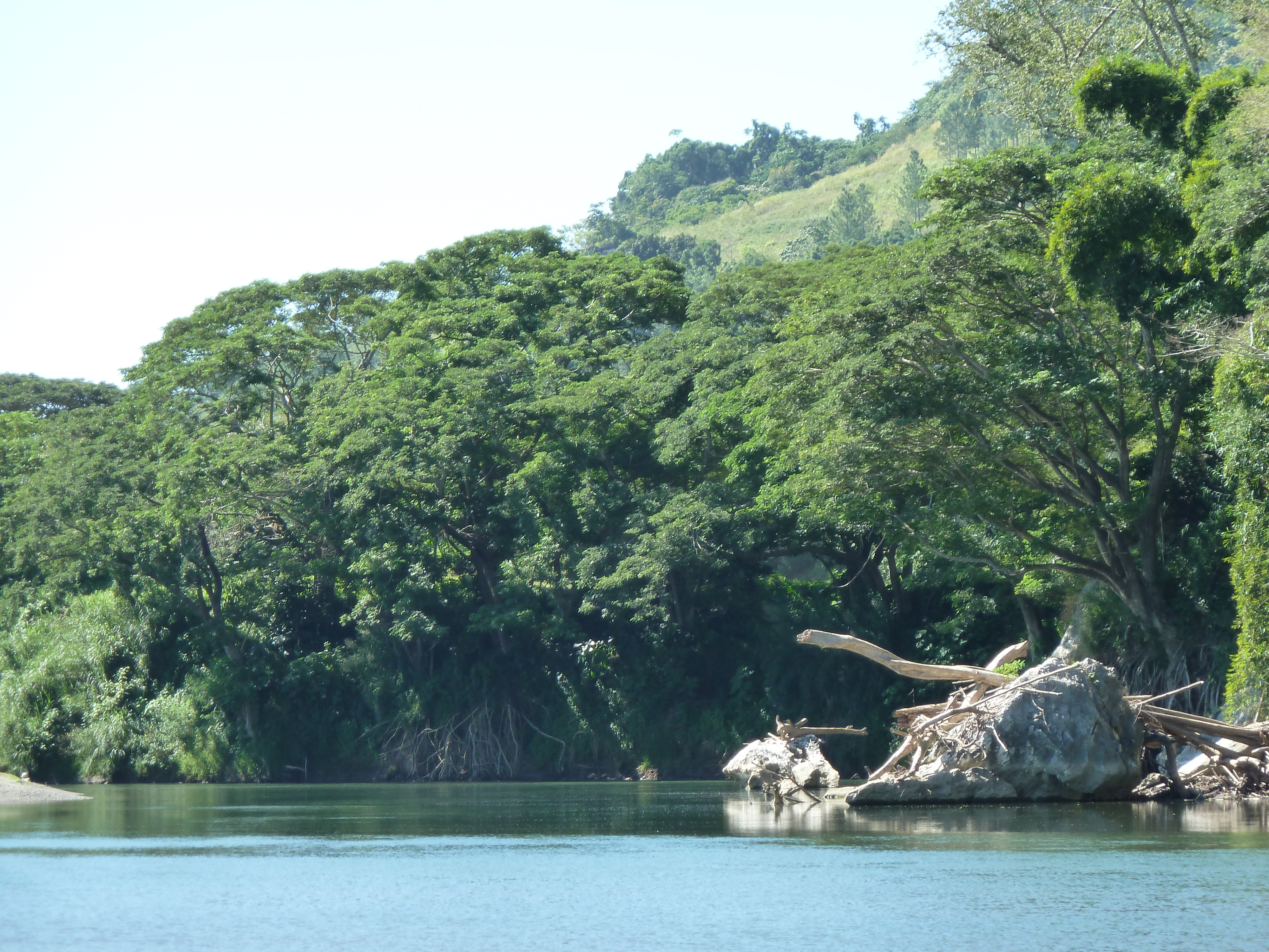 Picture Fiji Sigatoka river 2010-05 90 - Around Sigatoka river