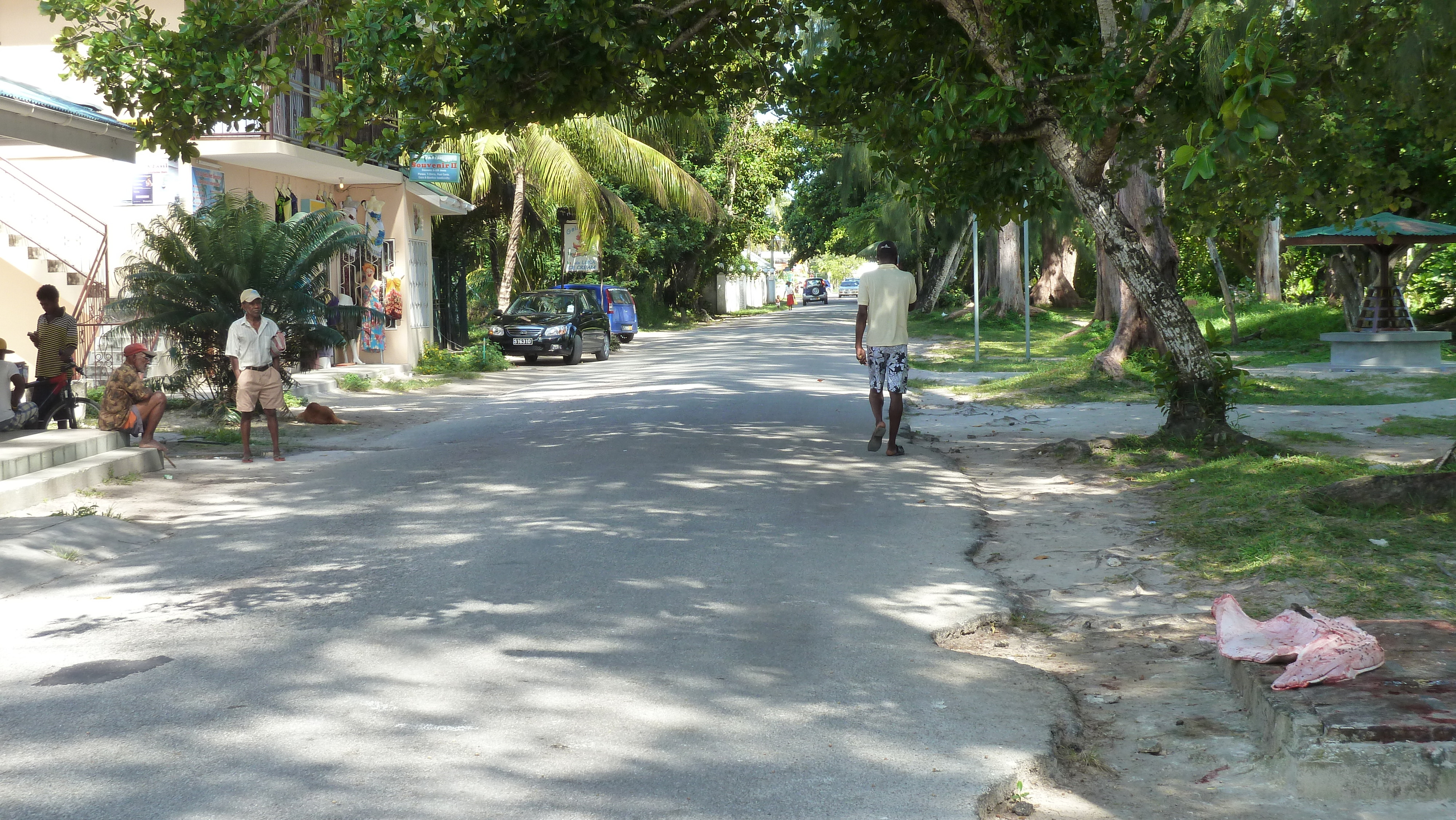 Picture Seychelles Praslin 2011-10 118 - Tours Praslin