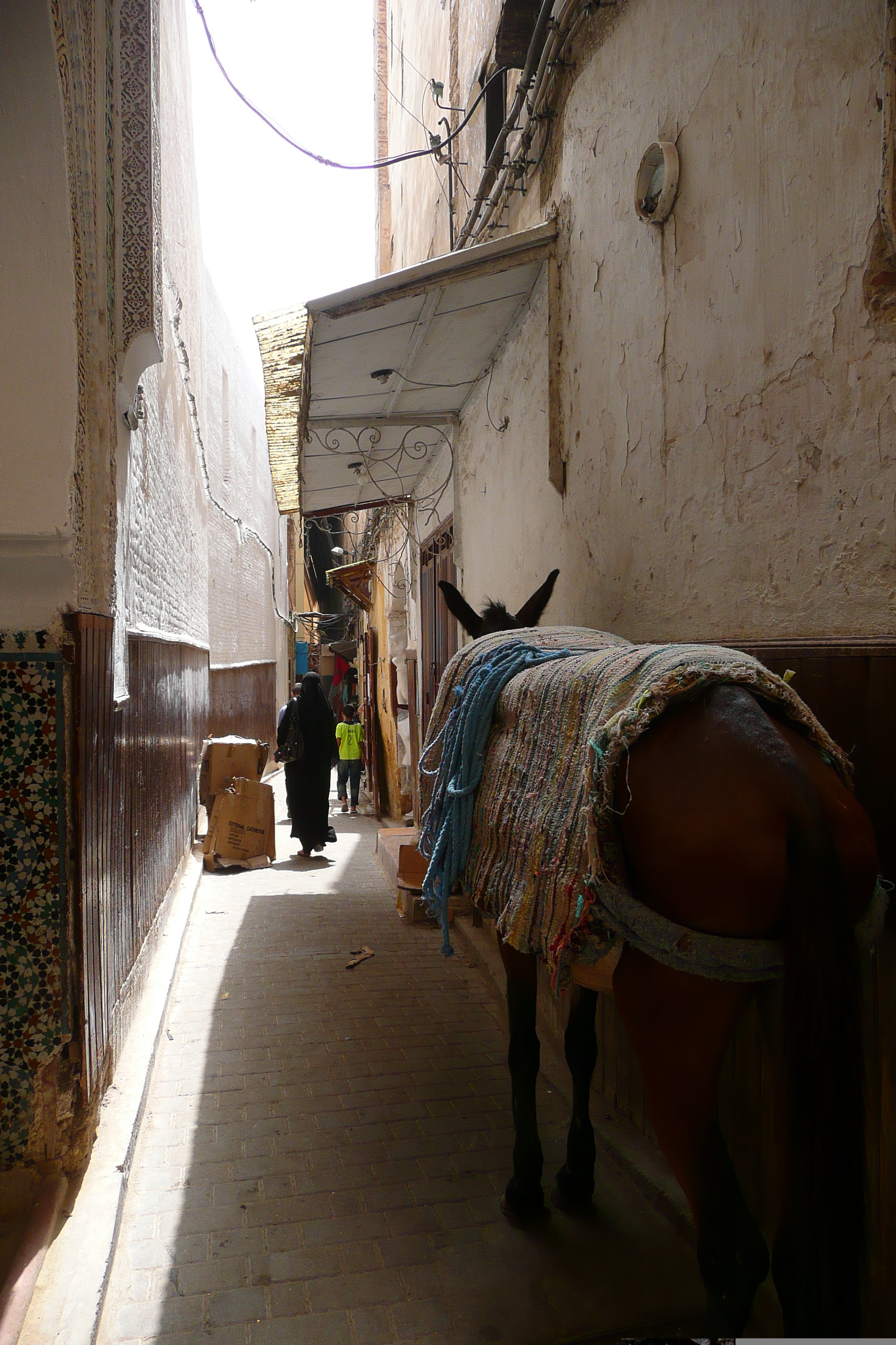 Picture Morocco Fes 2008-07 30 - Journey Fes