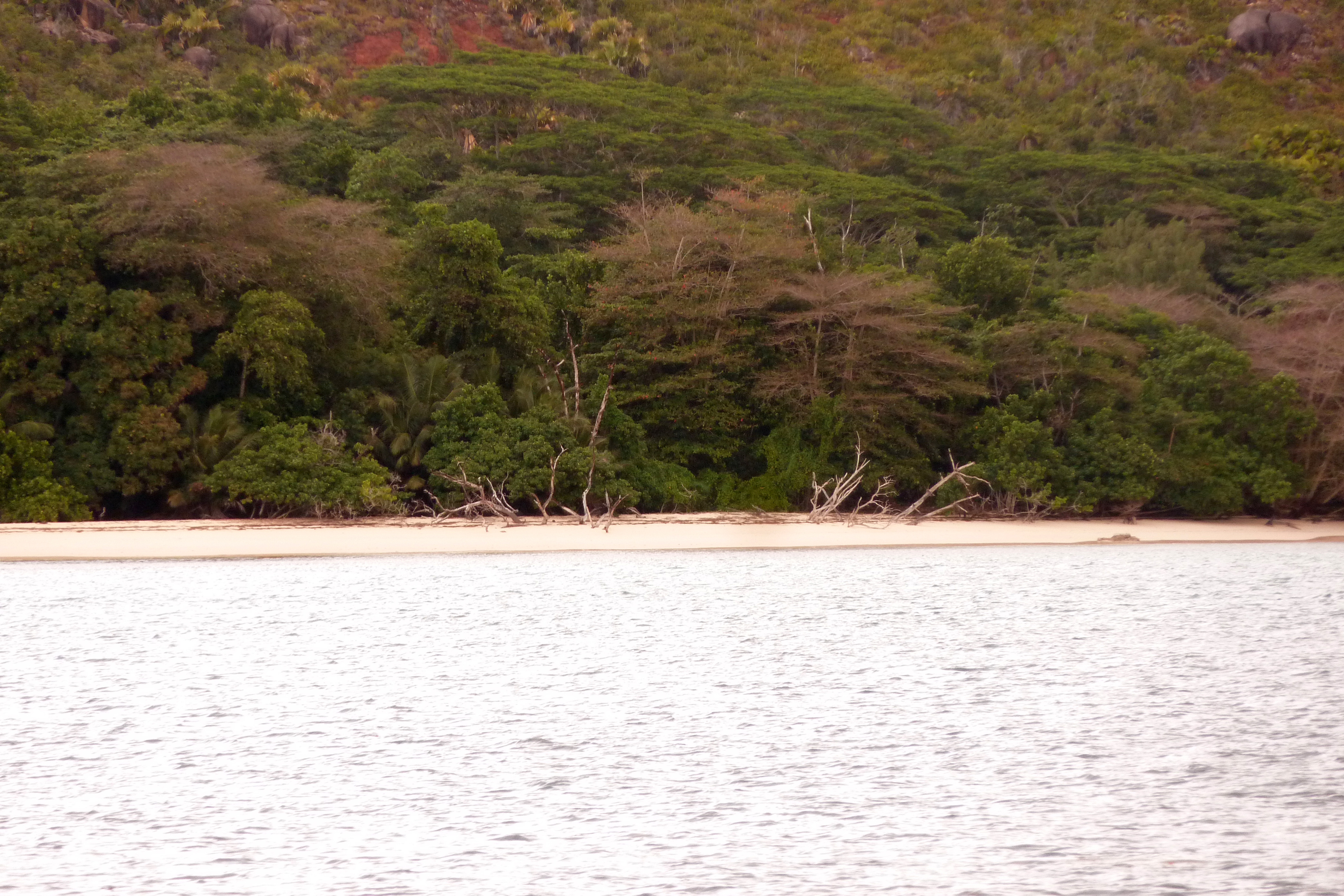 Picture Seychelles Curieuse 2011-10 41 - Around Curieuse