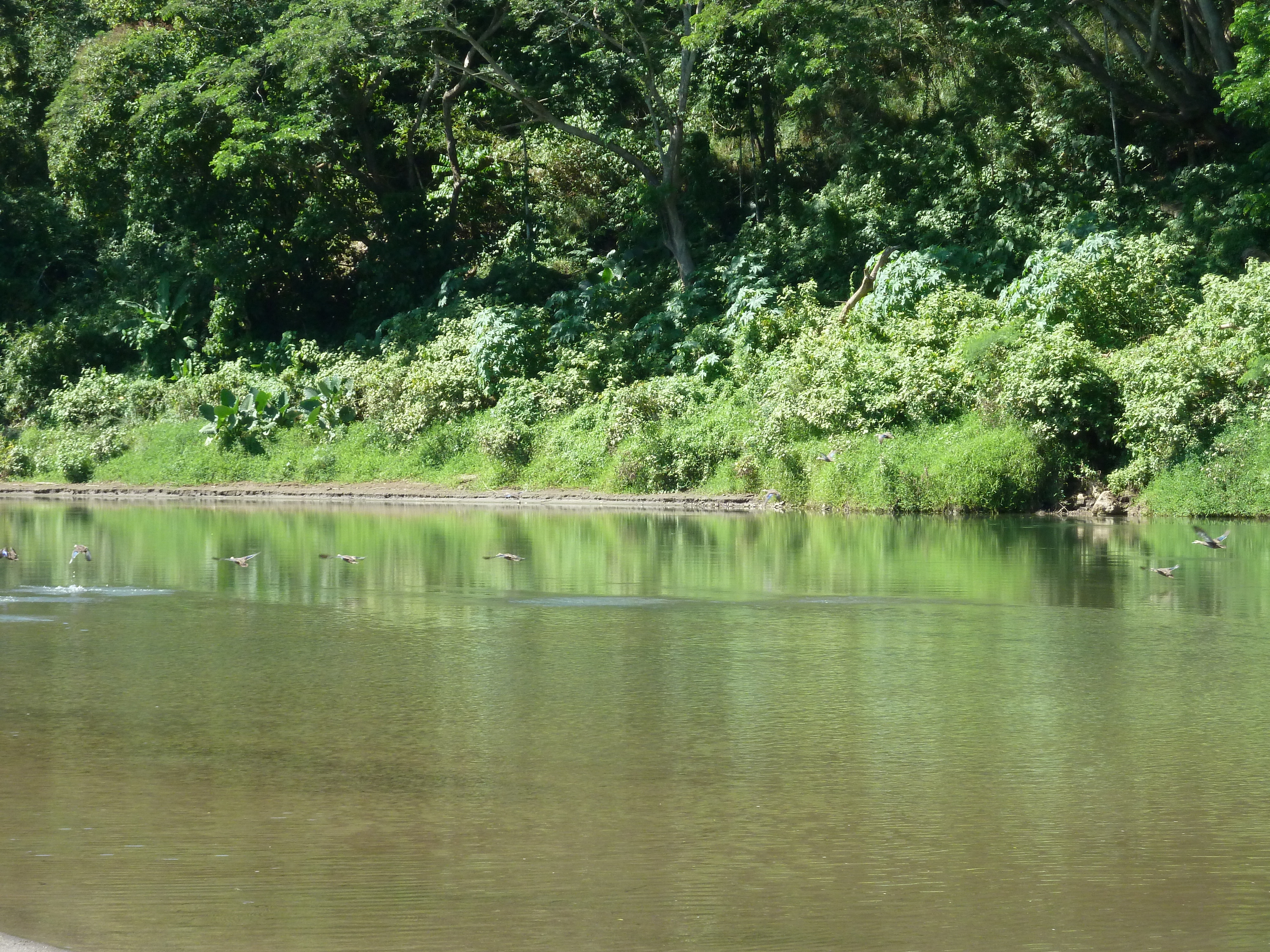 Picture Fiji Sigatoka river 2010-05 3 - History Sigatoka river