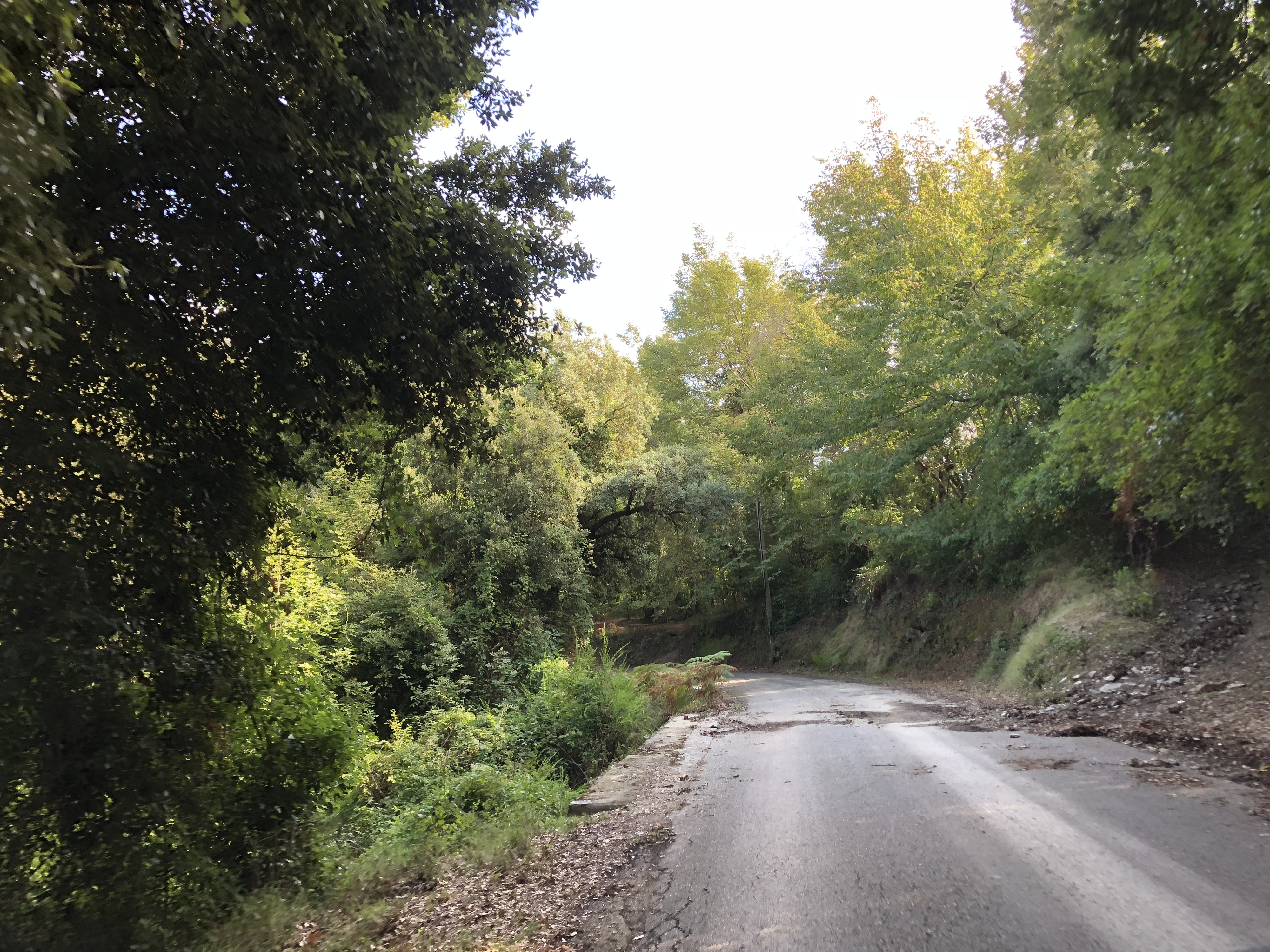 Picture France Corsica San Giuliano 2018-09 8 - Around San Giuliano