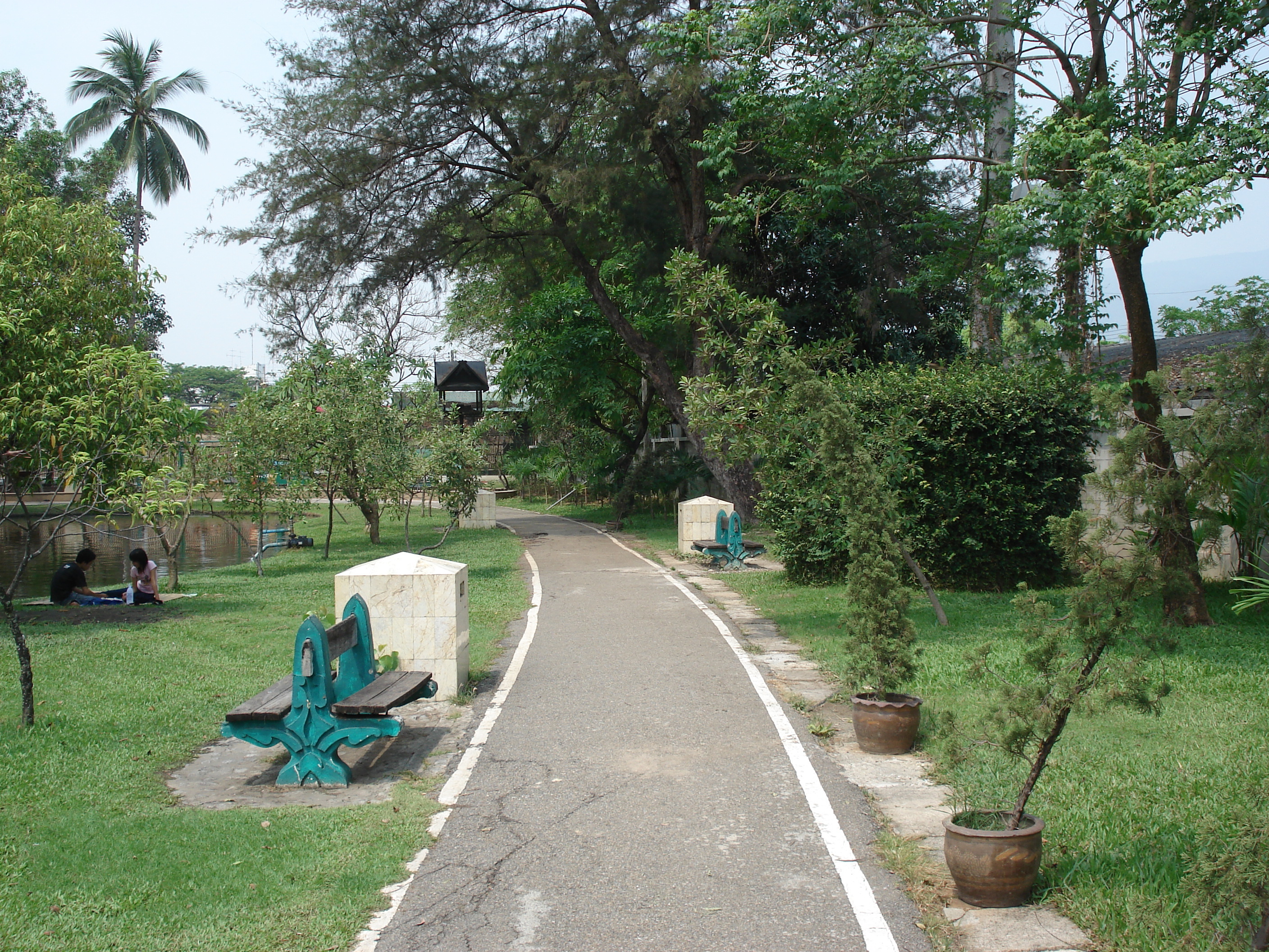 Picture Thailand Chiang Mai Inside Canal Buak Had Park 2006-04 10 - Around Buak Had Park