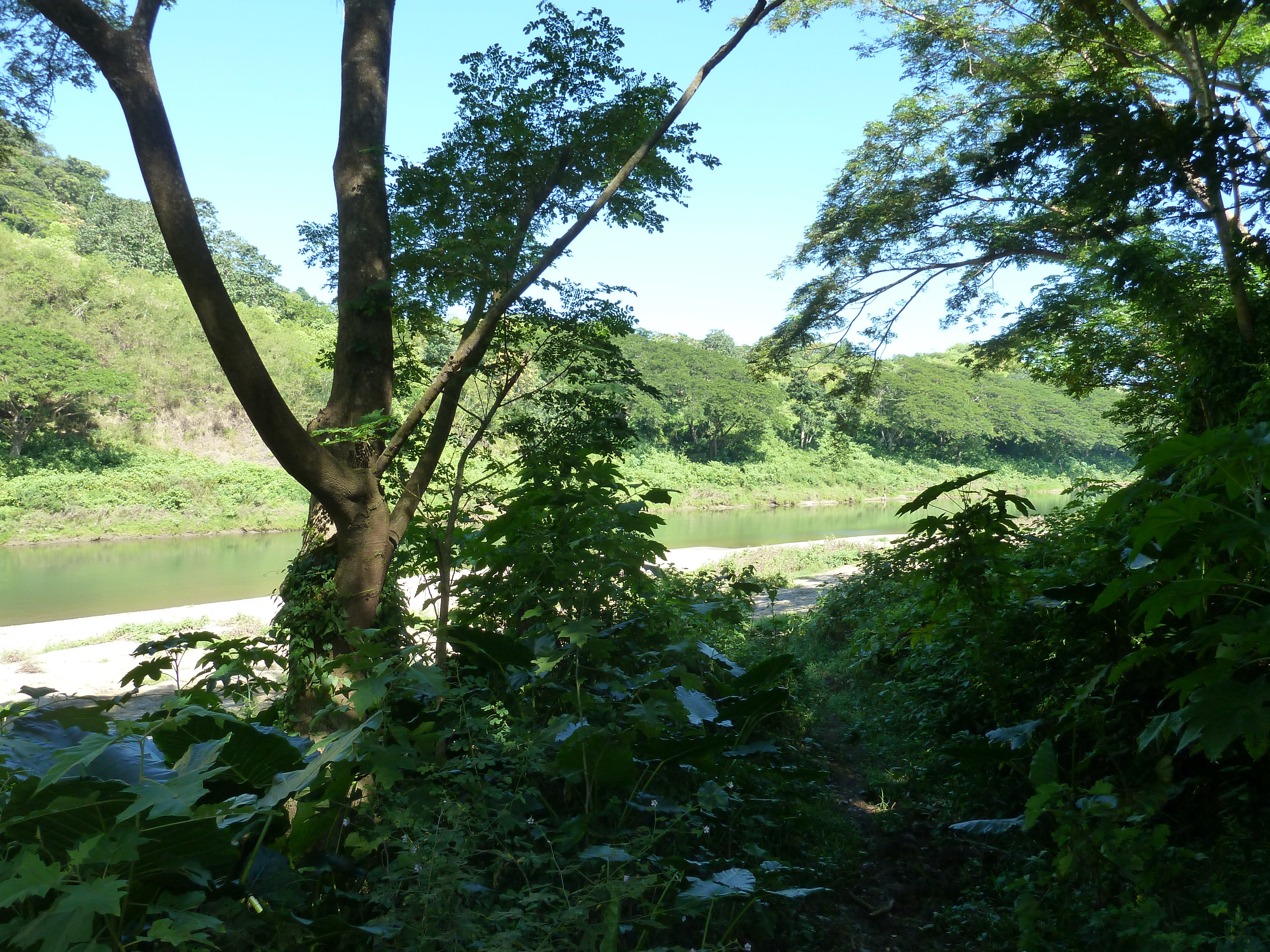 Picture Fiji Sigatoka river 2010-05 64 - Center Sigatoka river