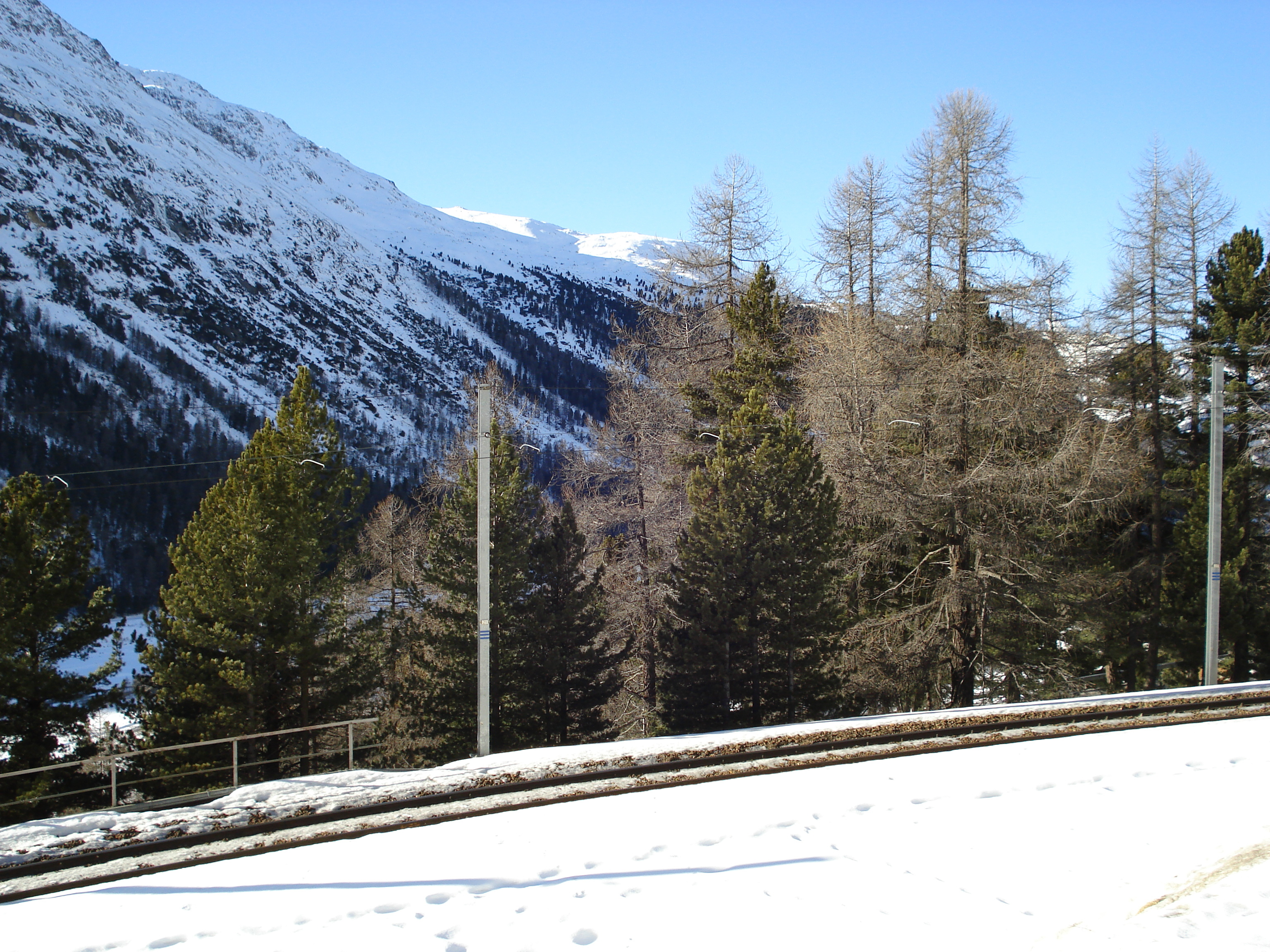 Picture Swiss From Pontresina to Lago Bianco 2007-01 75 - Tours From Pontresina to Lago Bianco