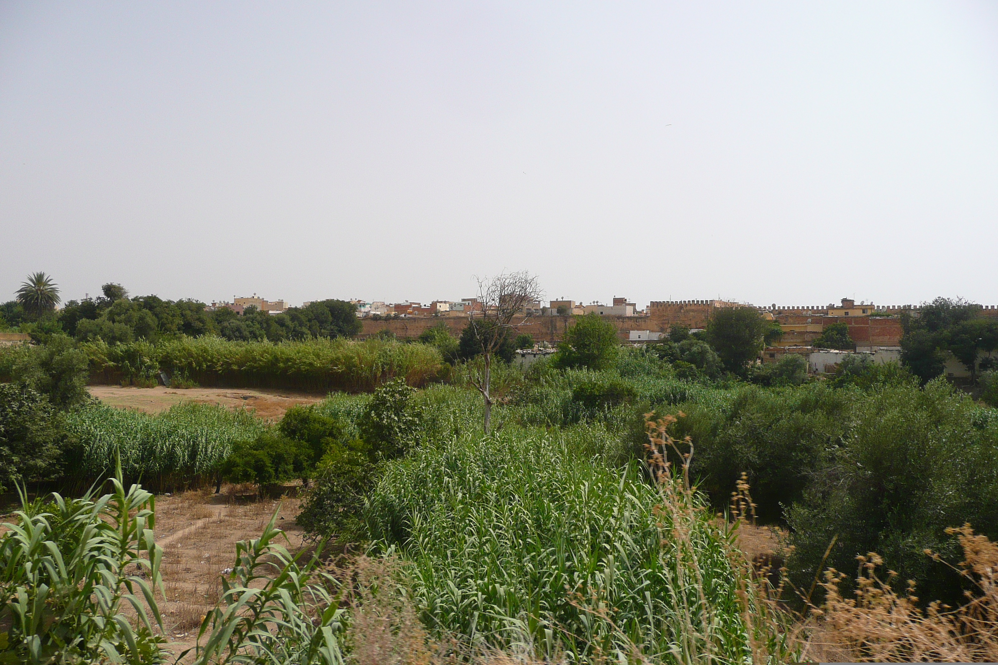 Picture Morocco Meknes 2008-07 36 - Tour Meknes