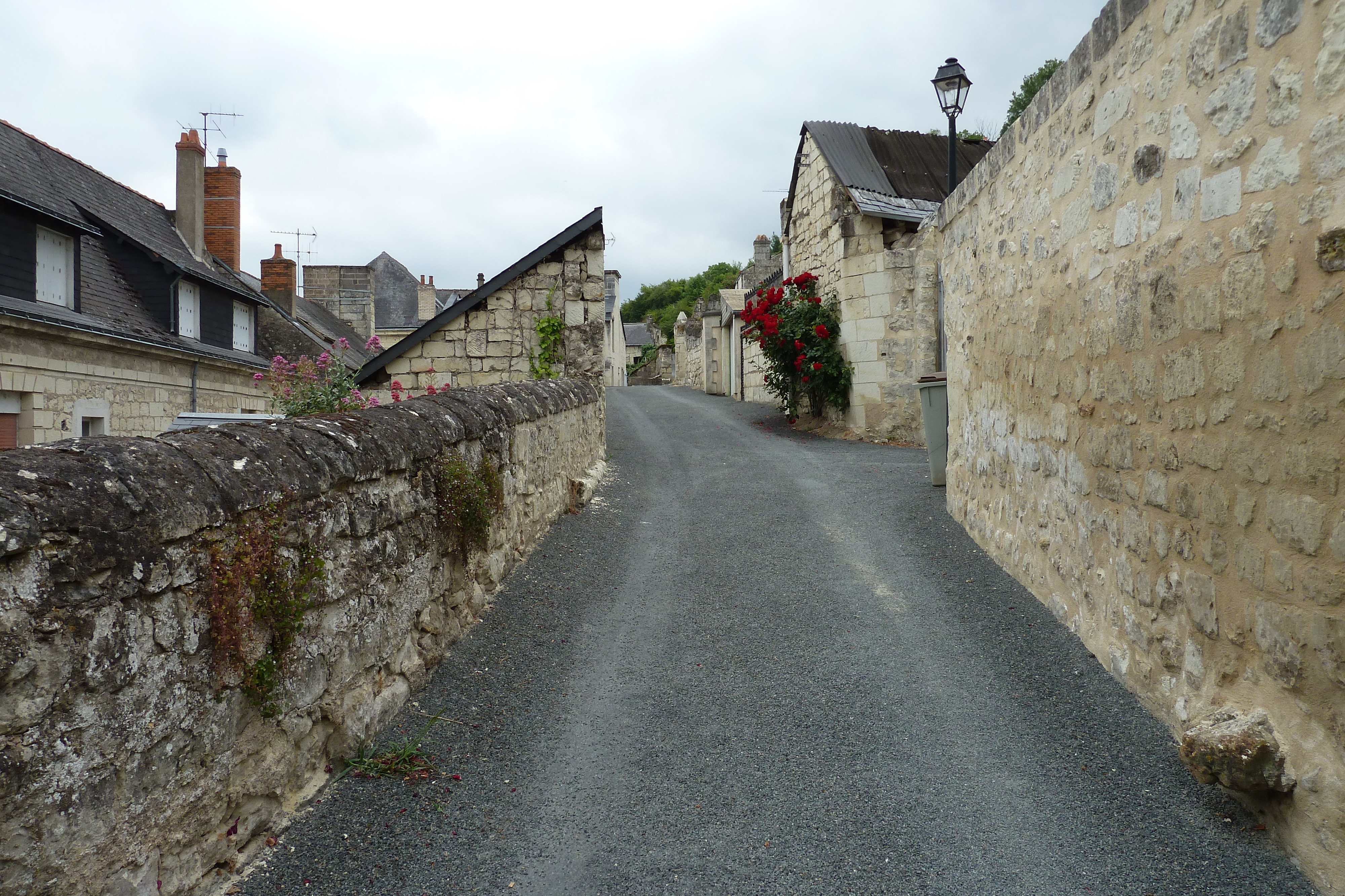 Picture France Montsoreau Castle 2011-05 31 - Discovery Montsoreau Castle