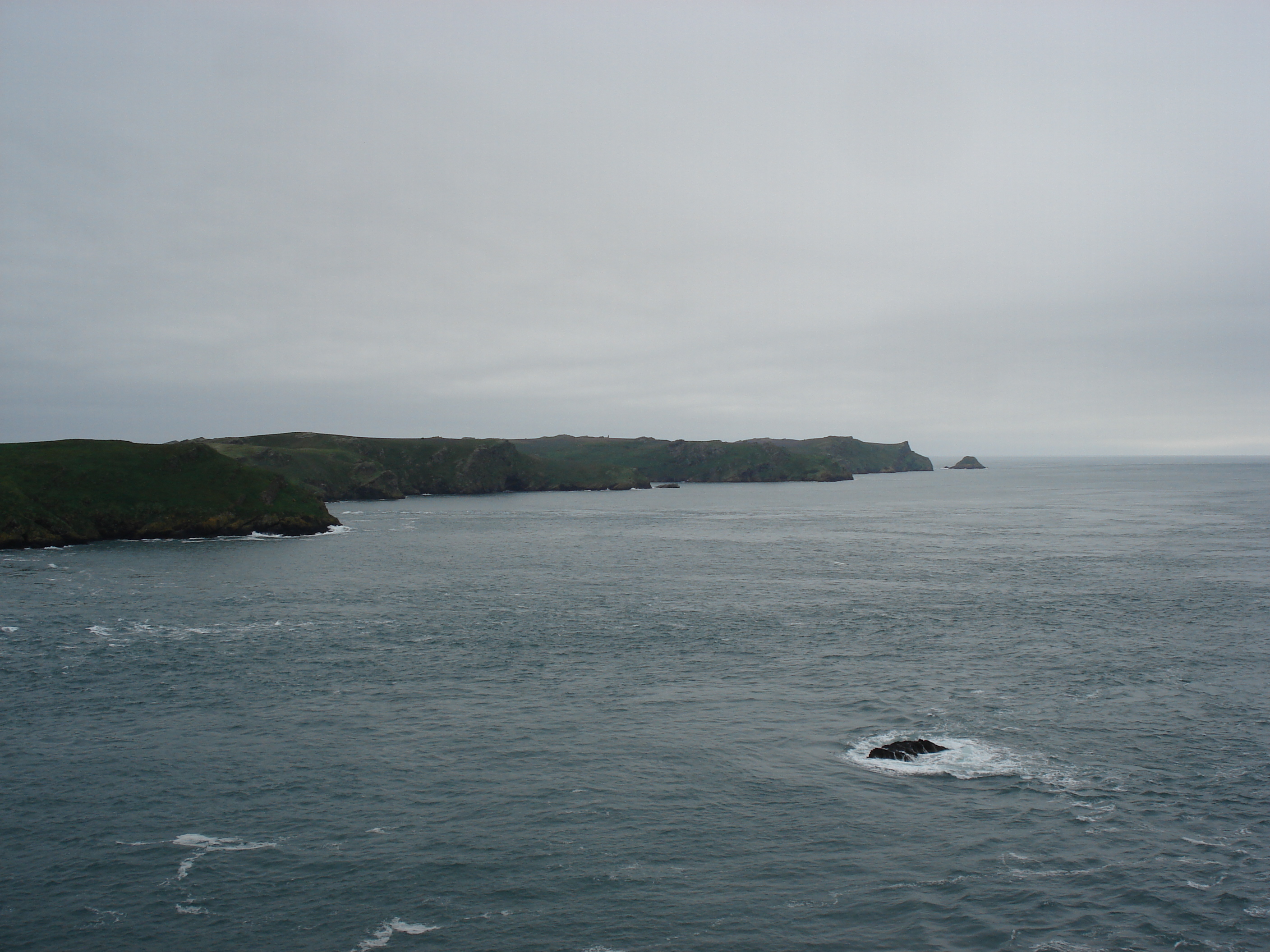 Picture United Kingdom Pembrokeshire Martins Havens 2006-05 23 - Discovery Martins Havens