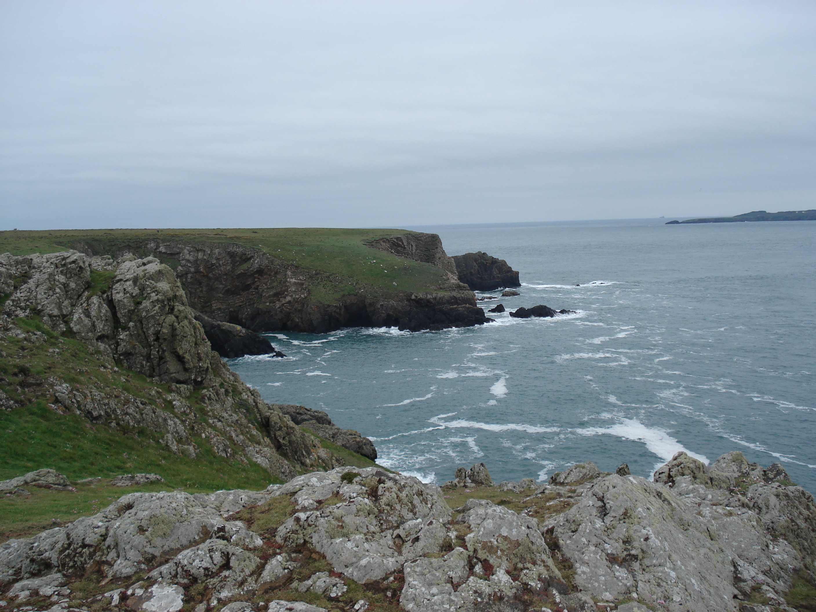 Picture United Kingdom Pembrokeshire Martins Havens 2006-05 26 - Tours Martins Havens