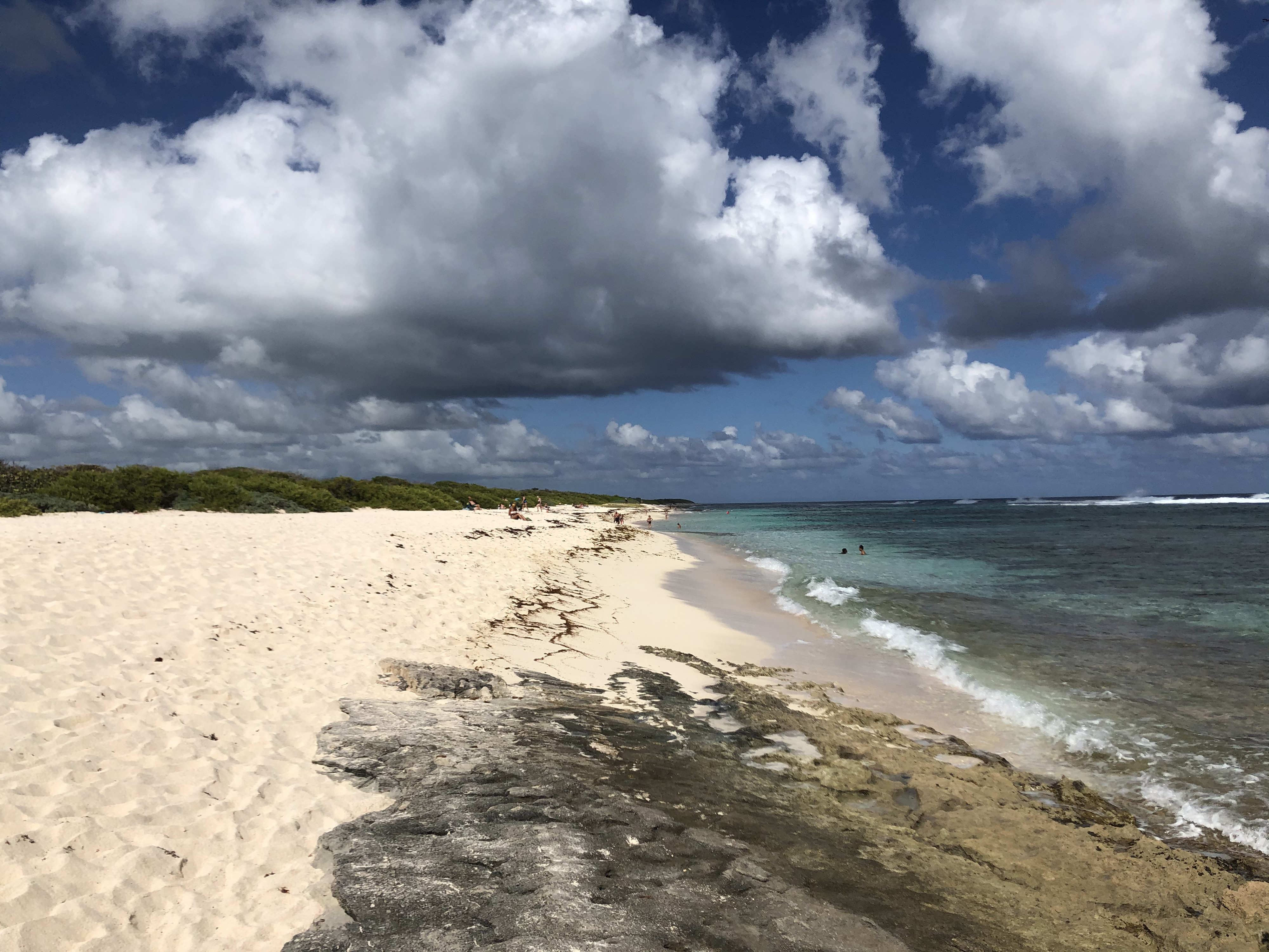 Picture Guadeloupe Grande Anse des Salines Beach 2021-02 7 - History Grande Anse des Salines Beach