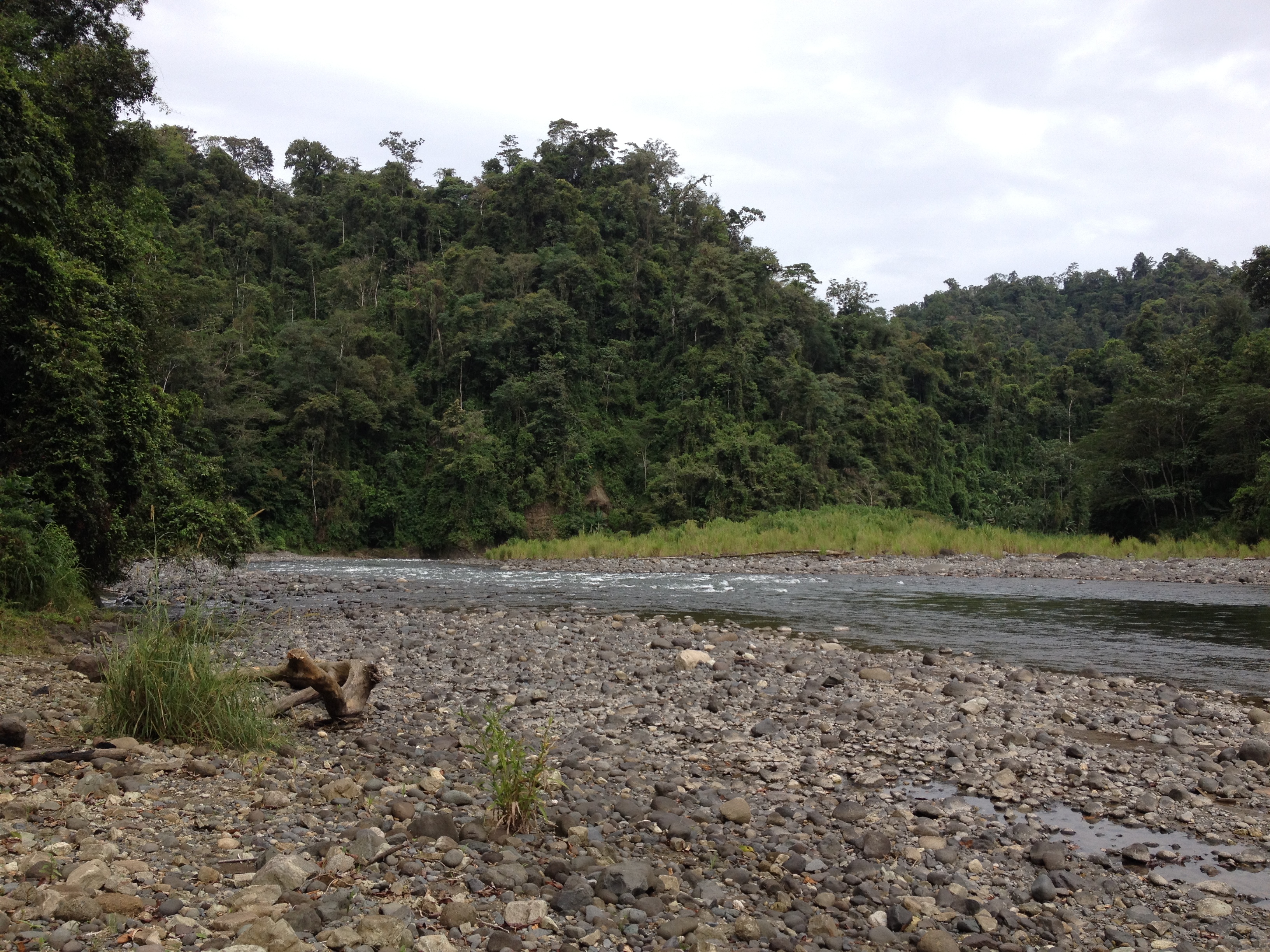 Picture Costa Rica Pacuare River 2015-03 181 - Tour Pacuare River