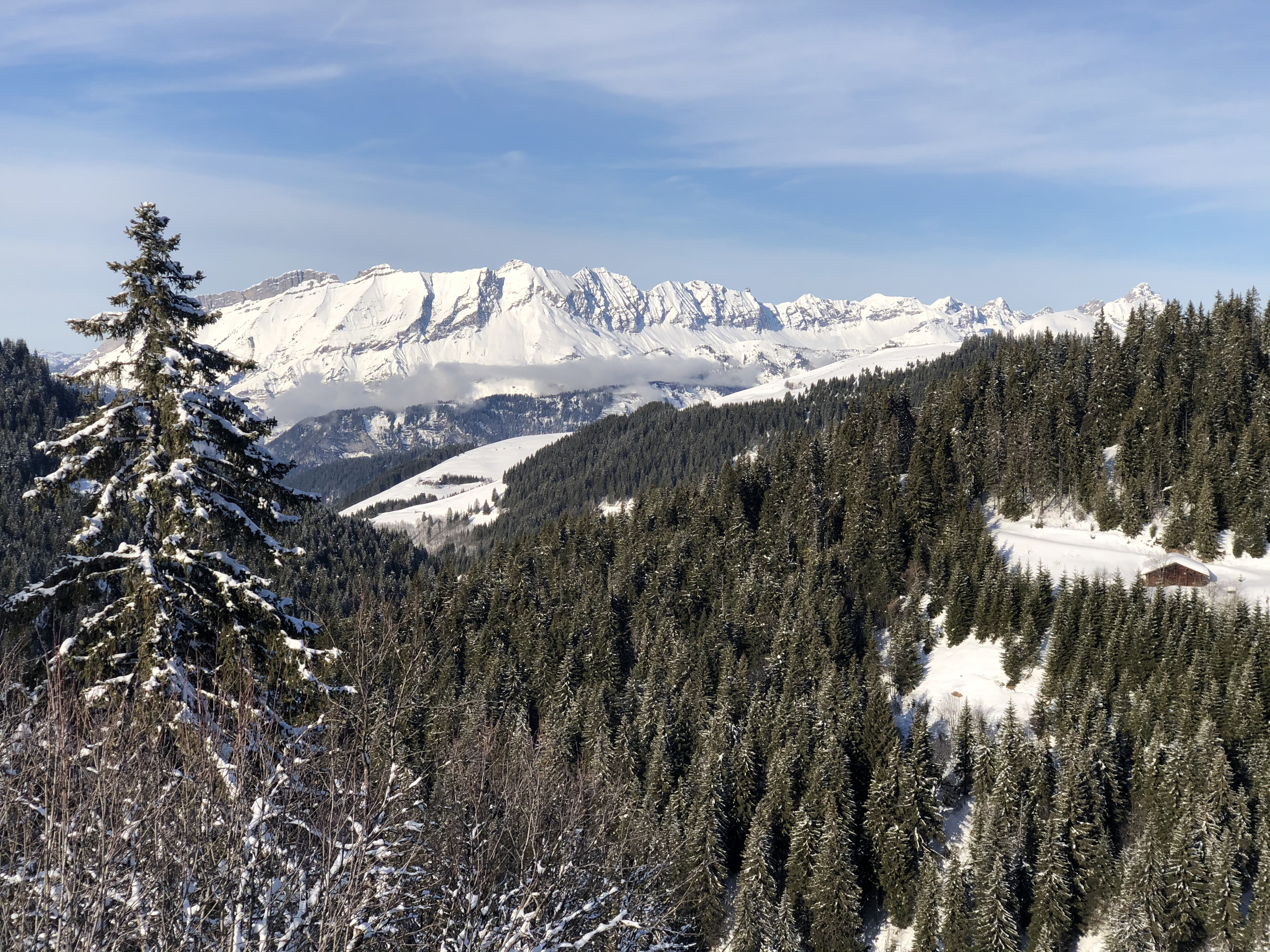 Picture France Praz sur Arly 2019-12 301 - Tours Praz sur Arly