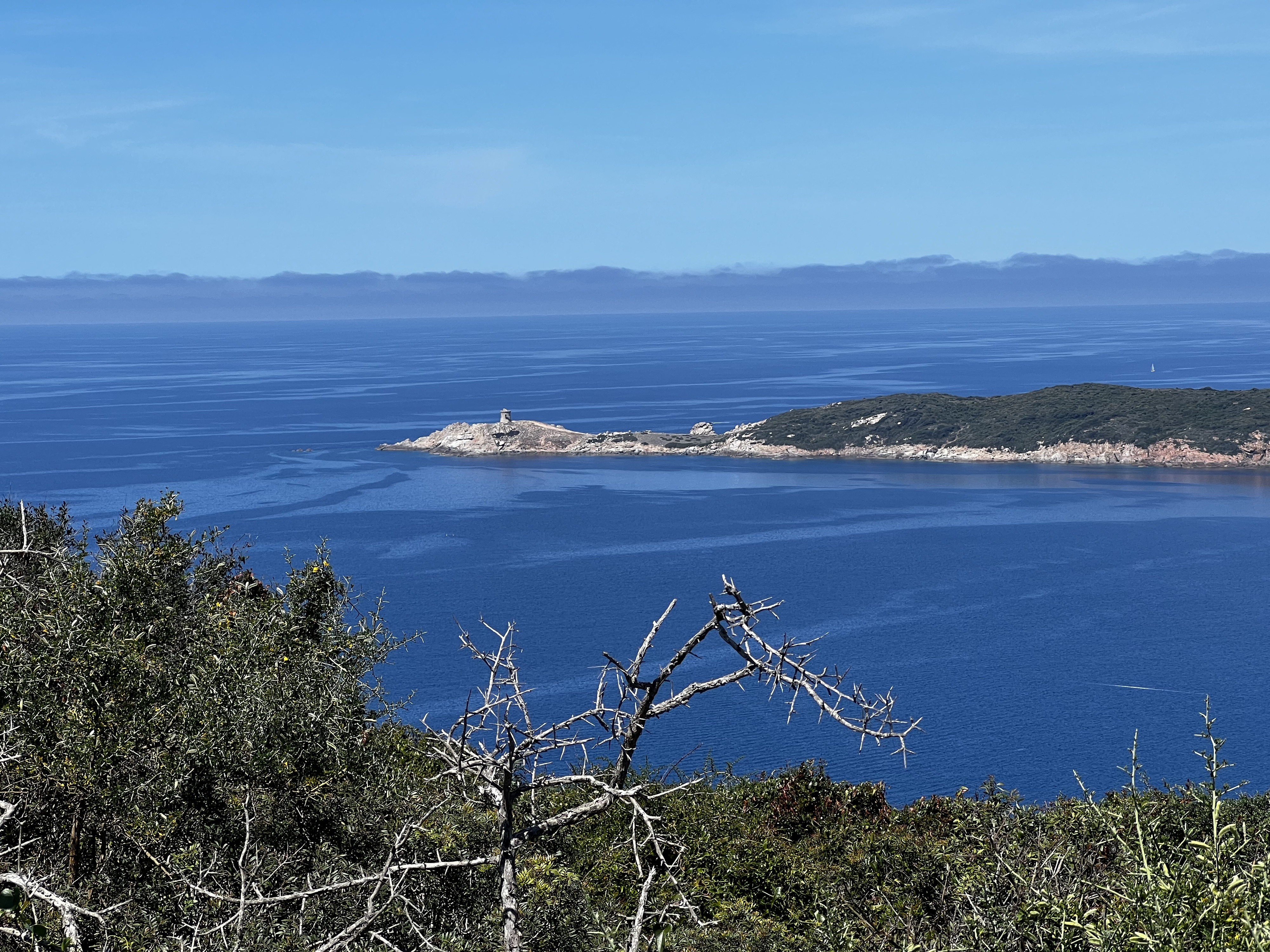 Picture France Corsica Arone Beach 2023-05 50 - Around Arone Beach