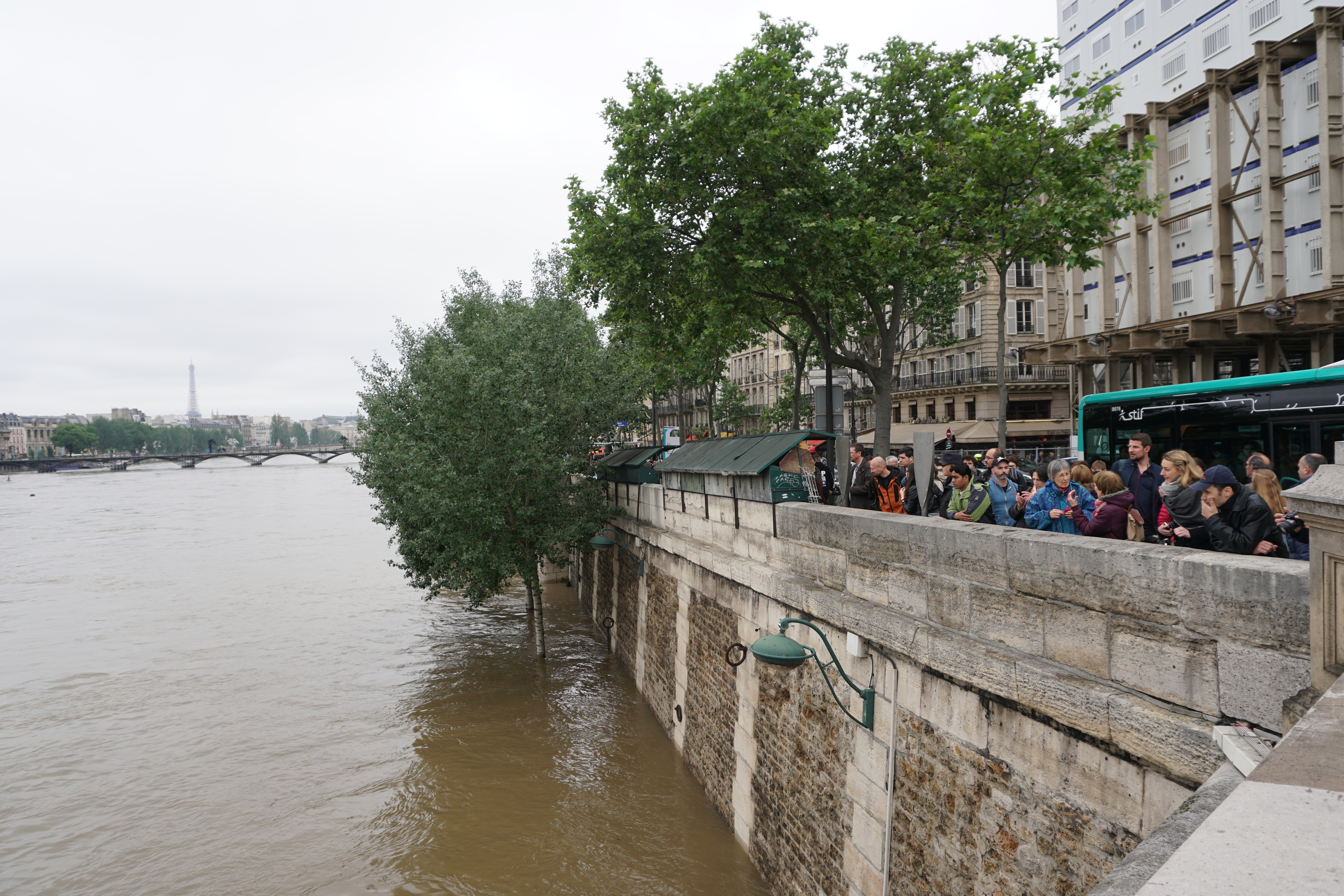 Picture France Paris Seine river 2016-06 51 - Center Seine river