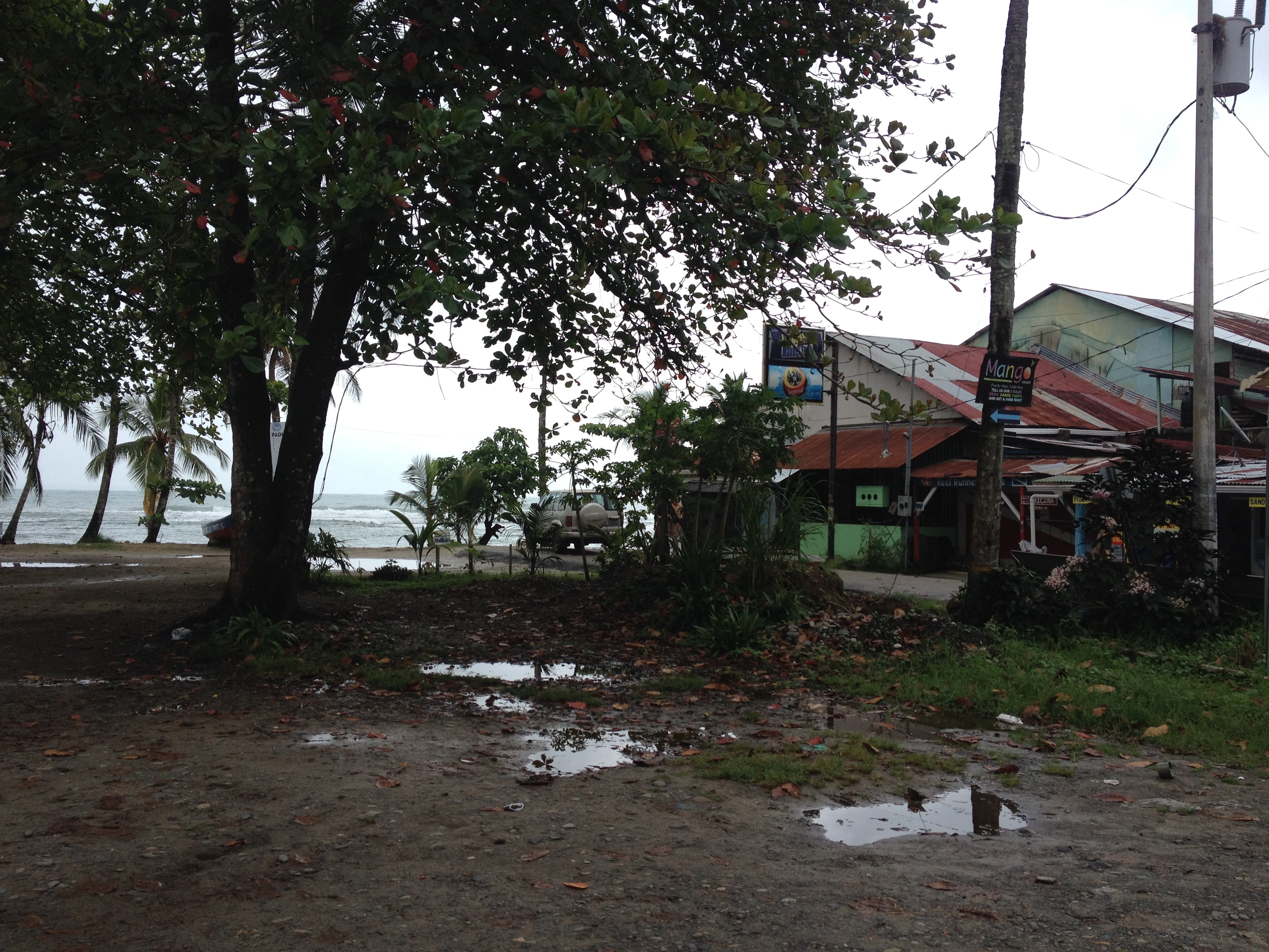 Picture Costa Rica Puerto Viejo de Talamanca 2015-03 81 - Discovery Puerto Viejo de Talamanca