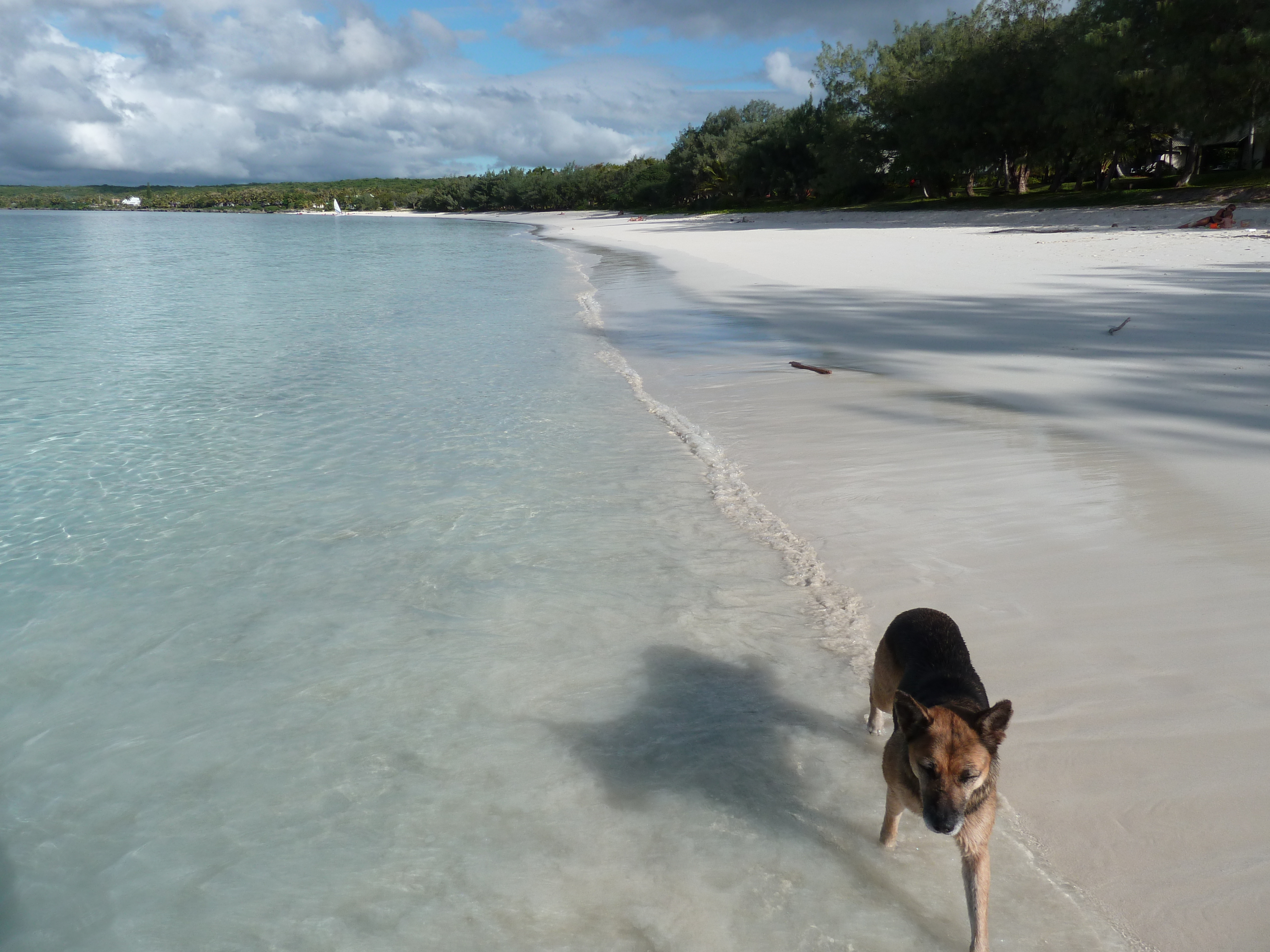 Picture New Caledonia Lifou Chateaubriant bay 2010-05 73 - Center Chateaubriant bay