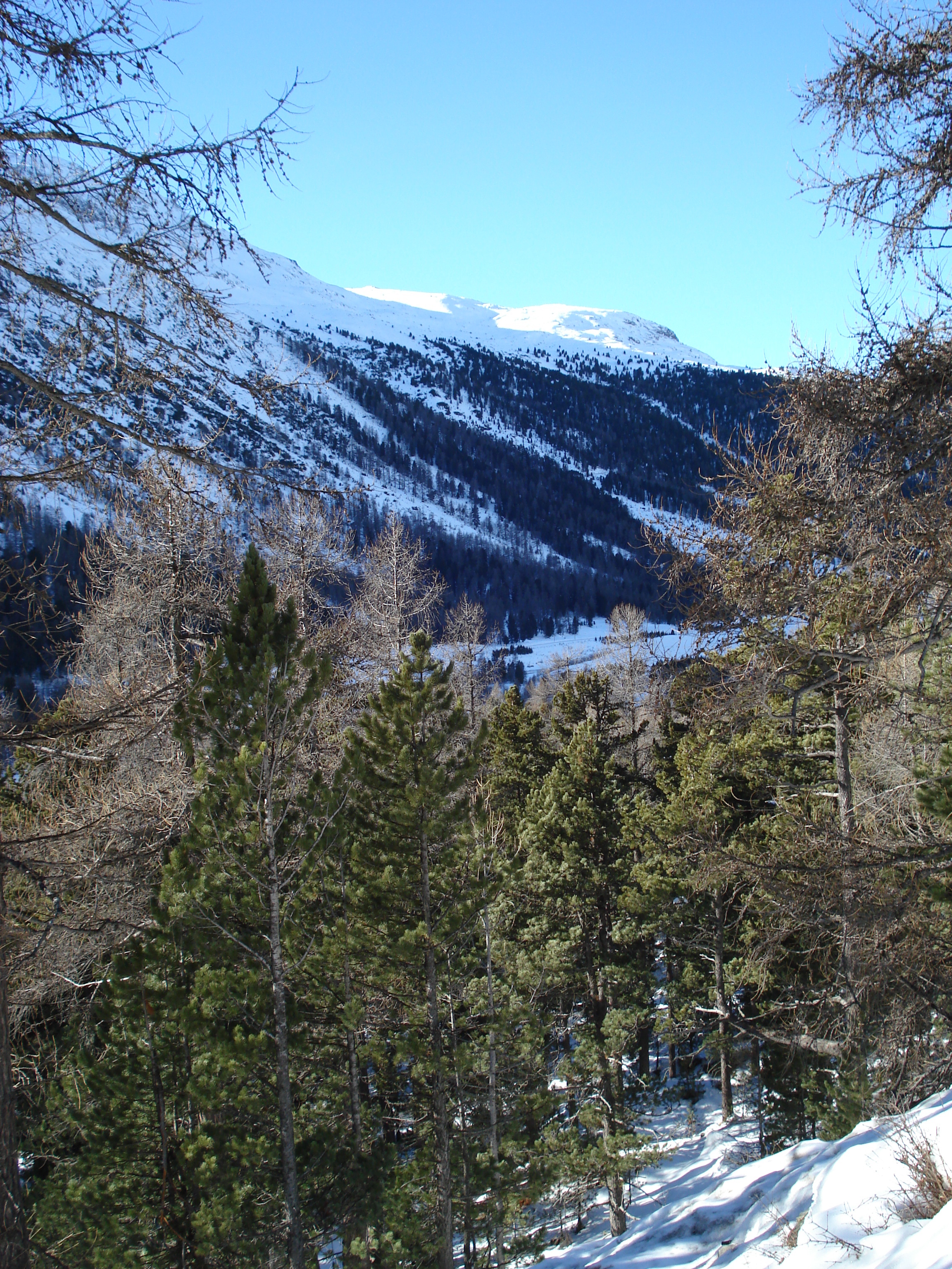 Picture Swiss From Pontresina to Lago Bianco 2007-01 56 - History From Pontresina to Lago Bianco