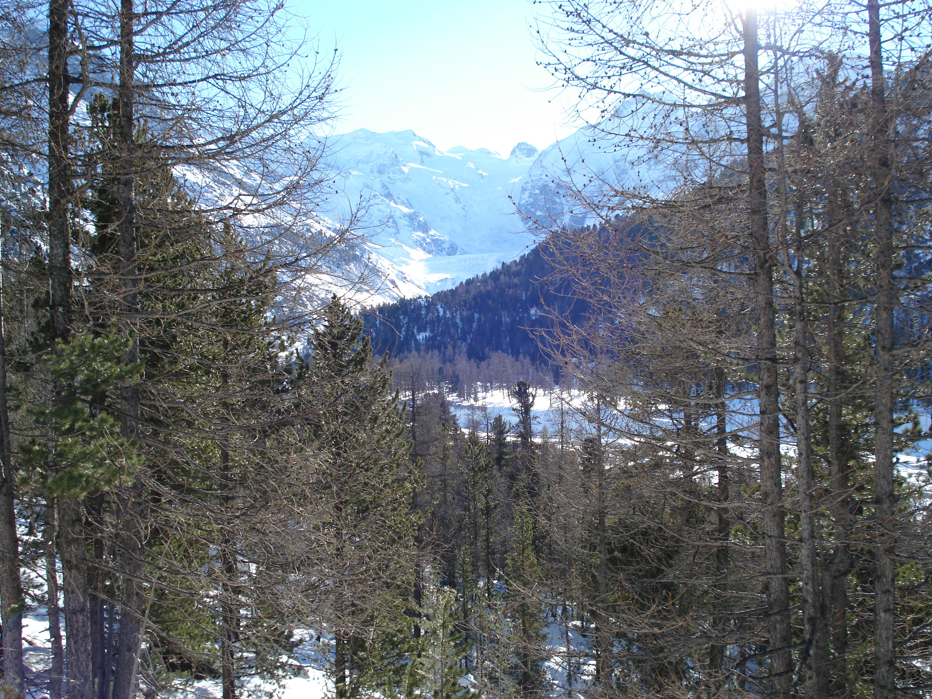 Picture Swiss From Pontresina to Lago Bianco 2007-01 47 - Journey From Pontresina to Lago Bianco