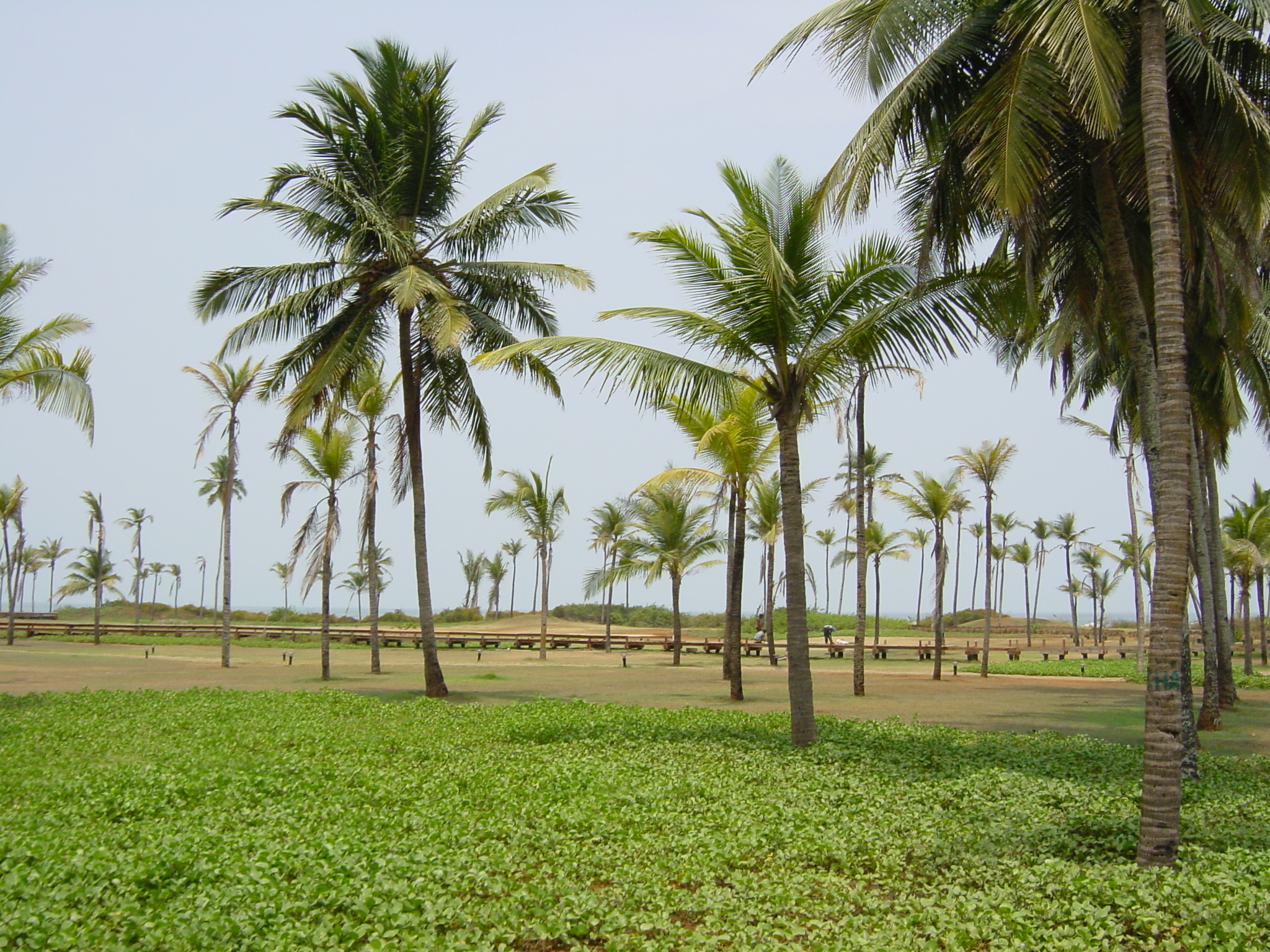 Picture India Goa hyatt hotel 2003-05 38 - History hyatt hotel