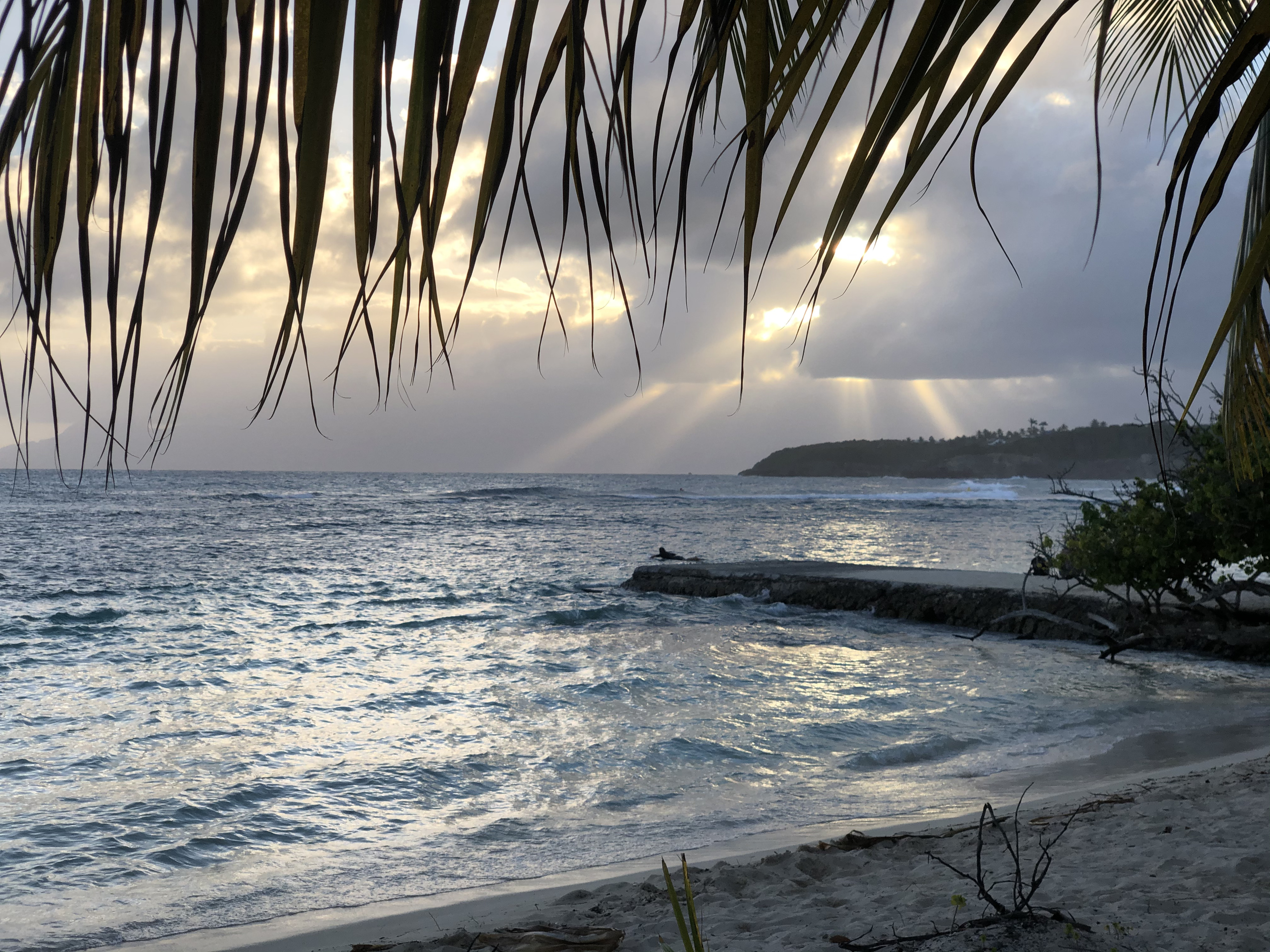 Picture Guadeloupe Sainte Anne 2021-02 37 - Discovery Sainte Anne