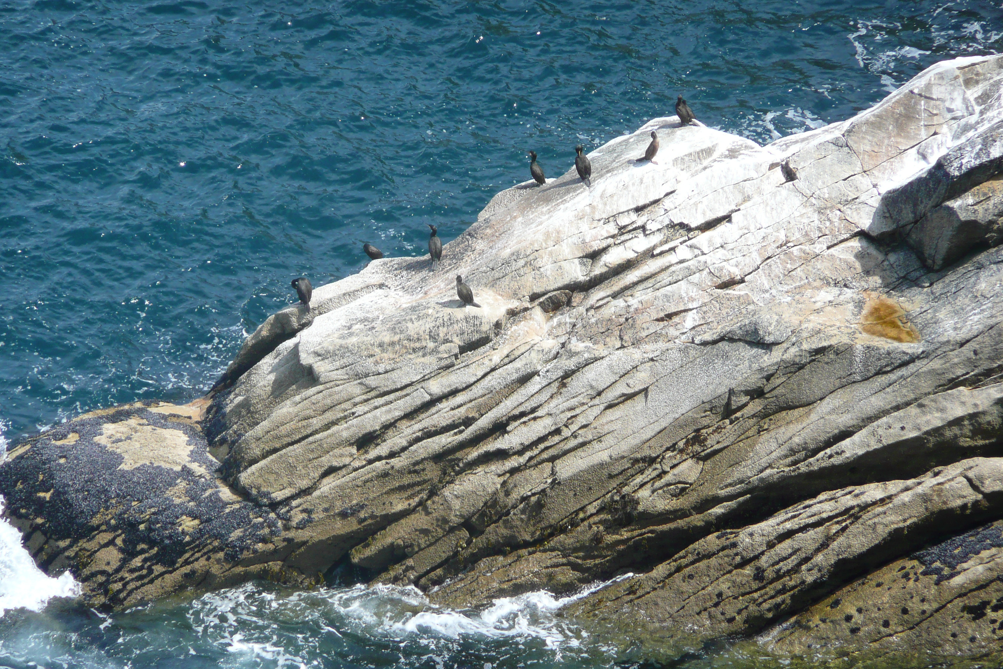 Picture France Pointe du Raz 2008-07 32 - Around Pointe du Raz