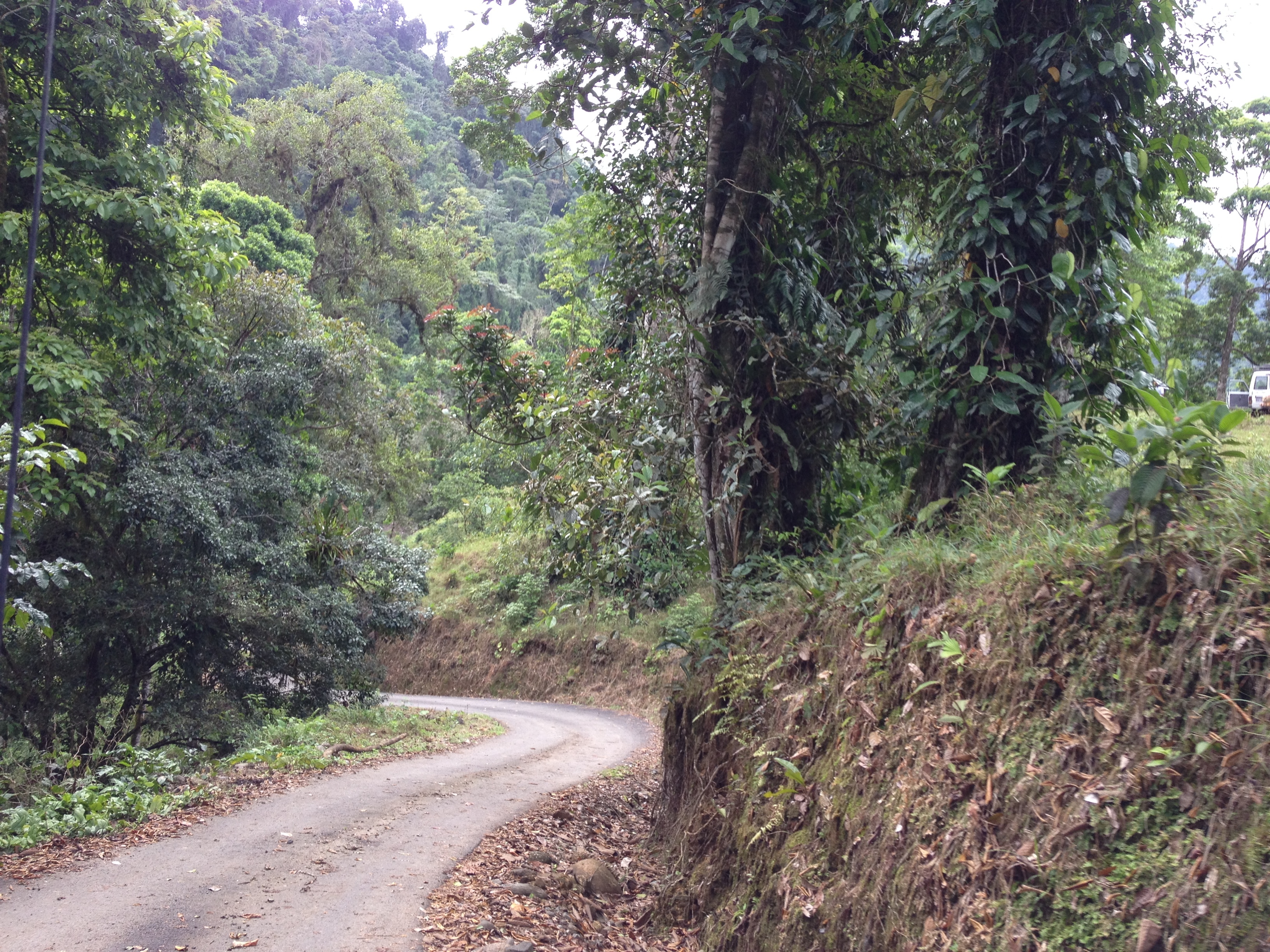 Picture Costa Rica Pacuare River 2015-03 191 - Recreation Pacuare River