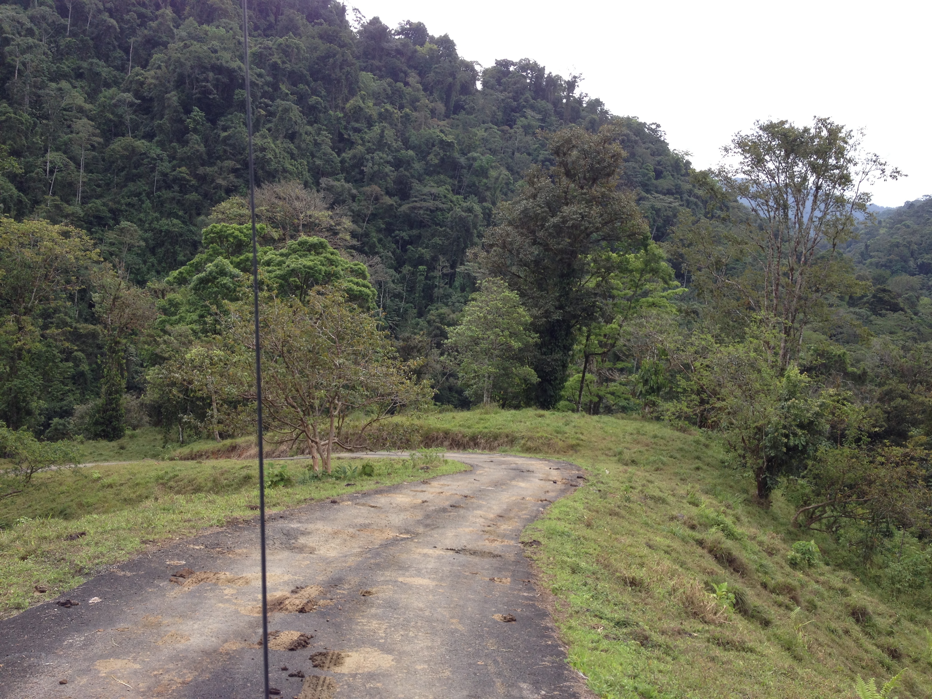 Picture Costa Rica Pacuare River 2015-03 201 - Around Pacuare River