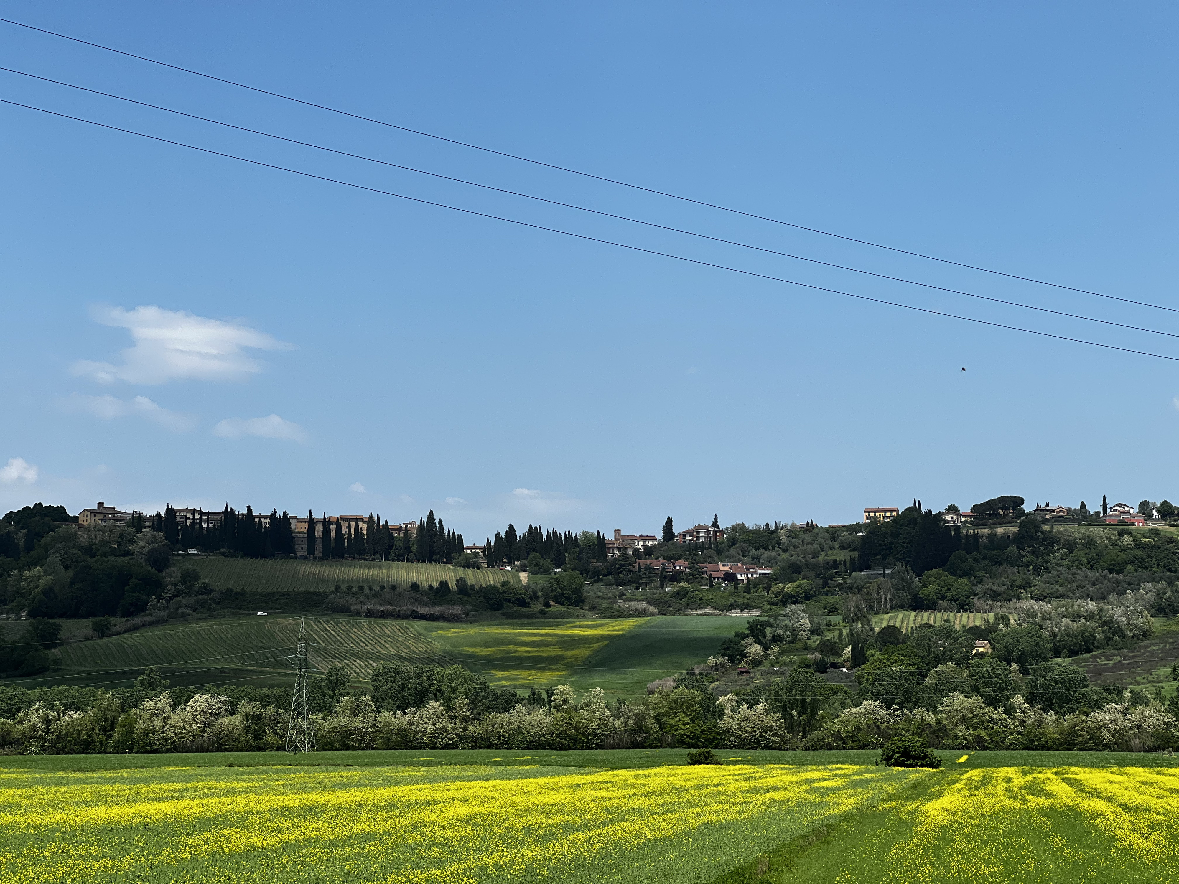 Picture Italy San Gimignano 2022-05 13 - History San Gimignano