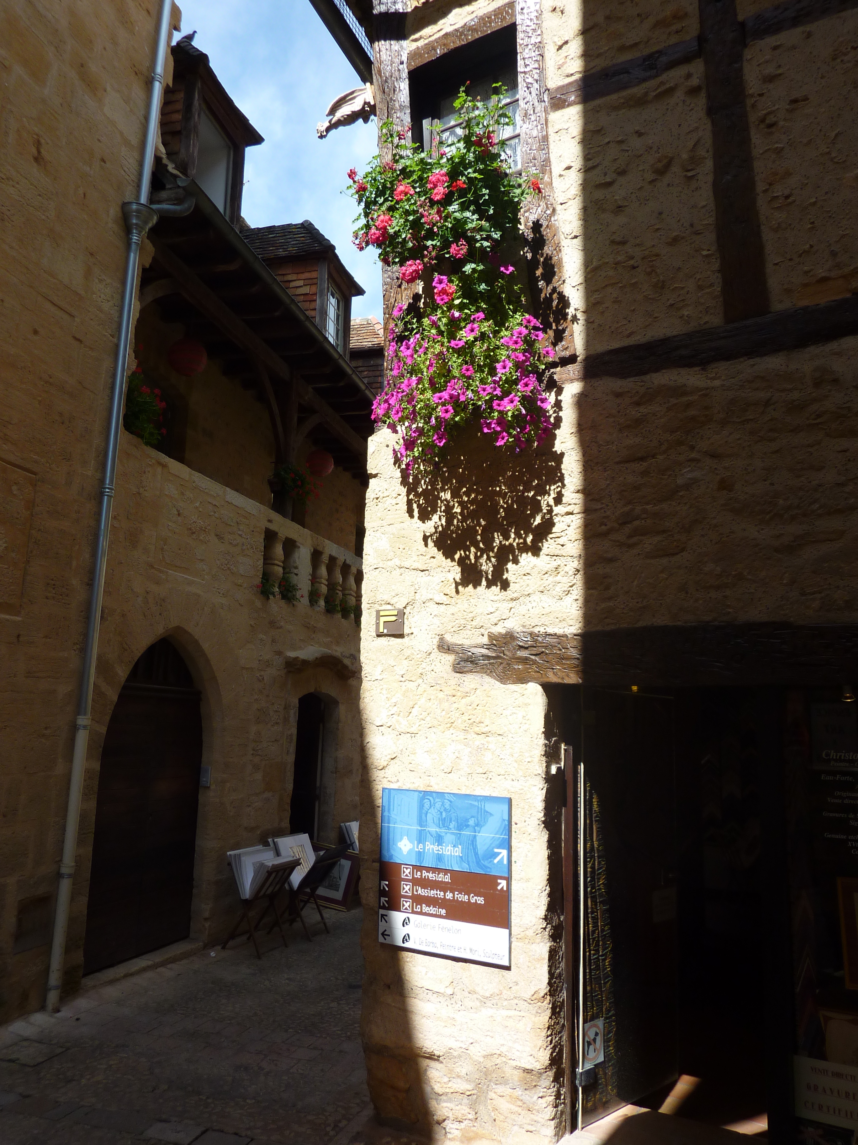 Picture France Sarlat la Caneda 2009-07 47 - Discovery Sarlat la Caneda