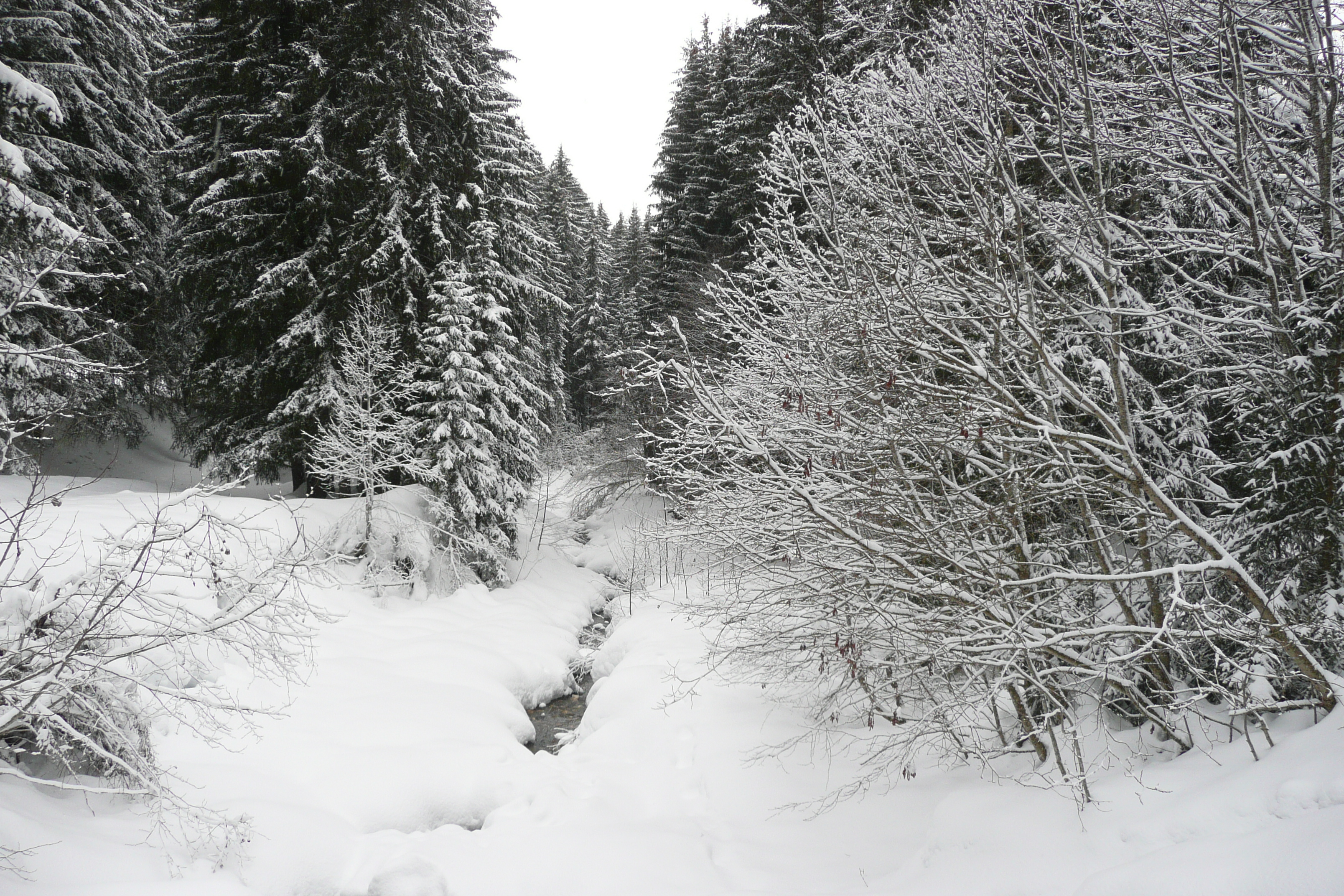 Picture France Megeve Le Planay 2010-02 30 - Around Le Planay