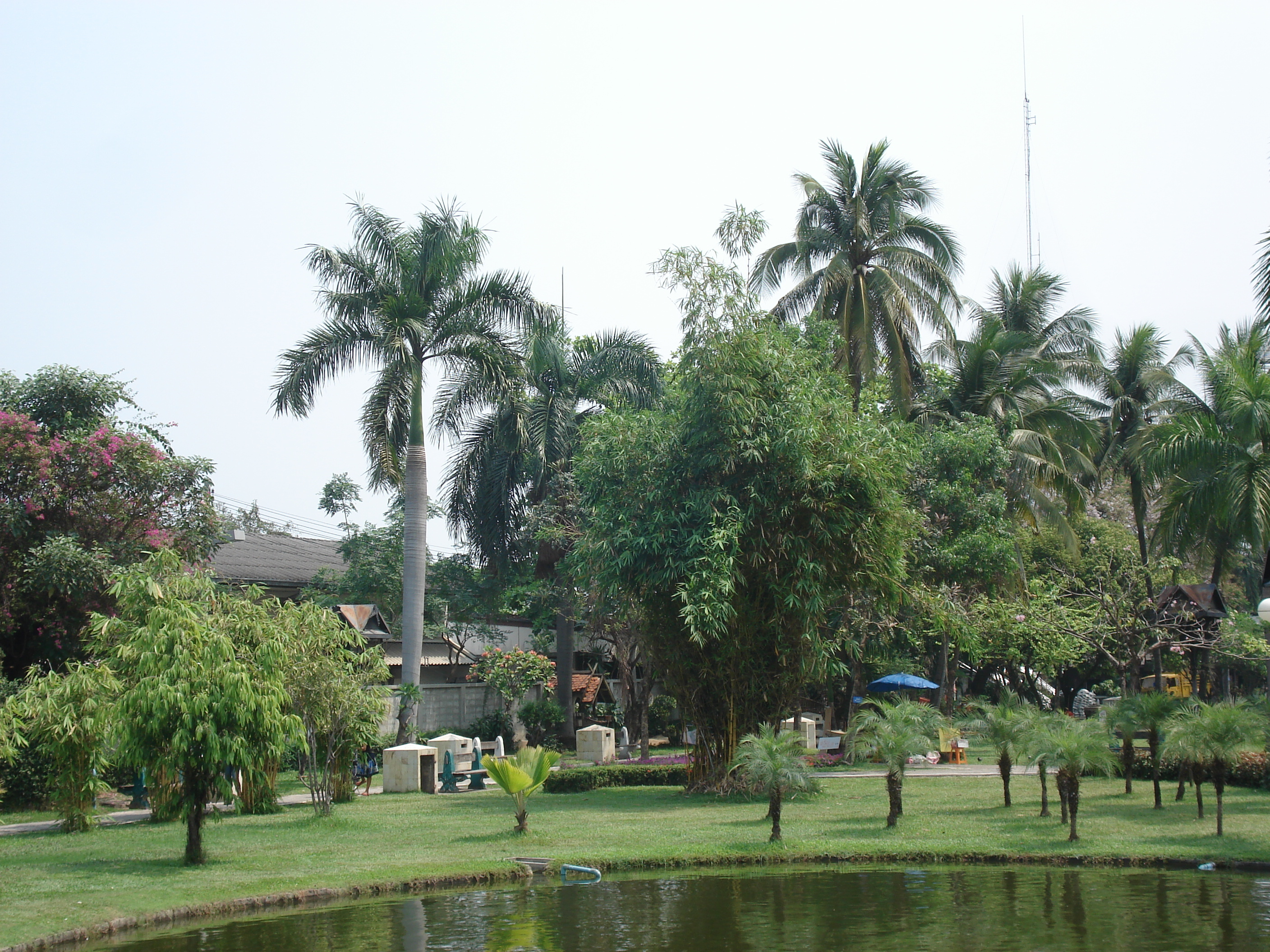 Picture Thailand Chiang Mai Inside Canal Buak Had Park 2006-04 16 - Tour Buak Had Park