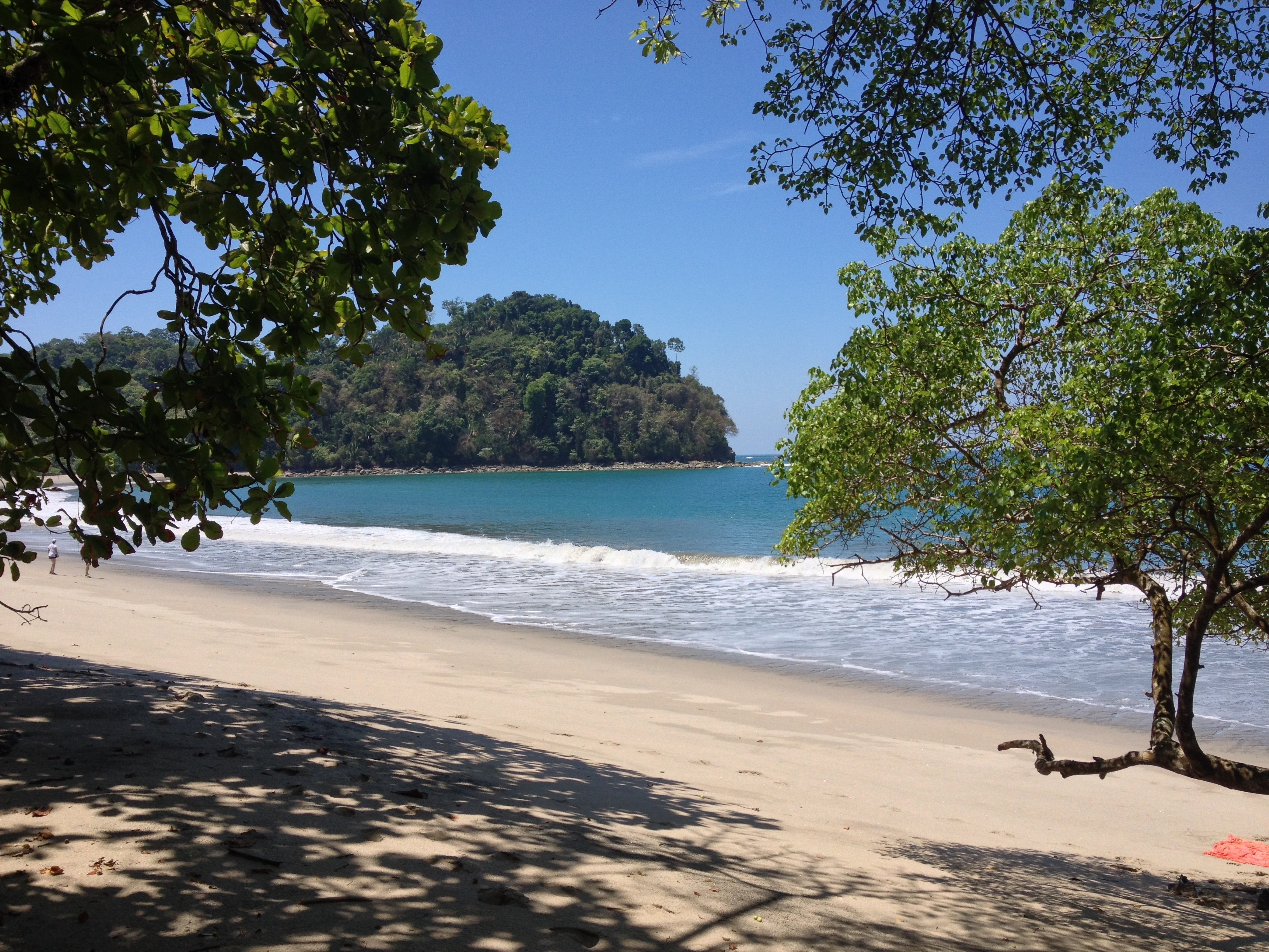 Picture Costa Rica Manuel Antonio 2015-03 283 - Tours Manuel Antonio