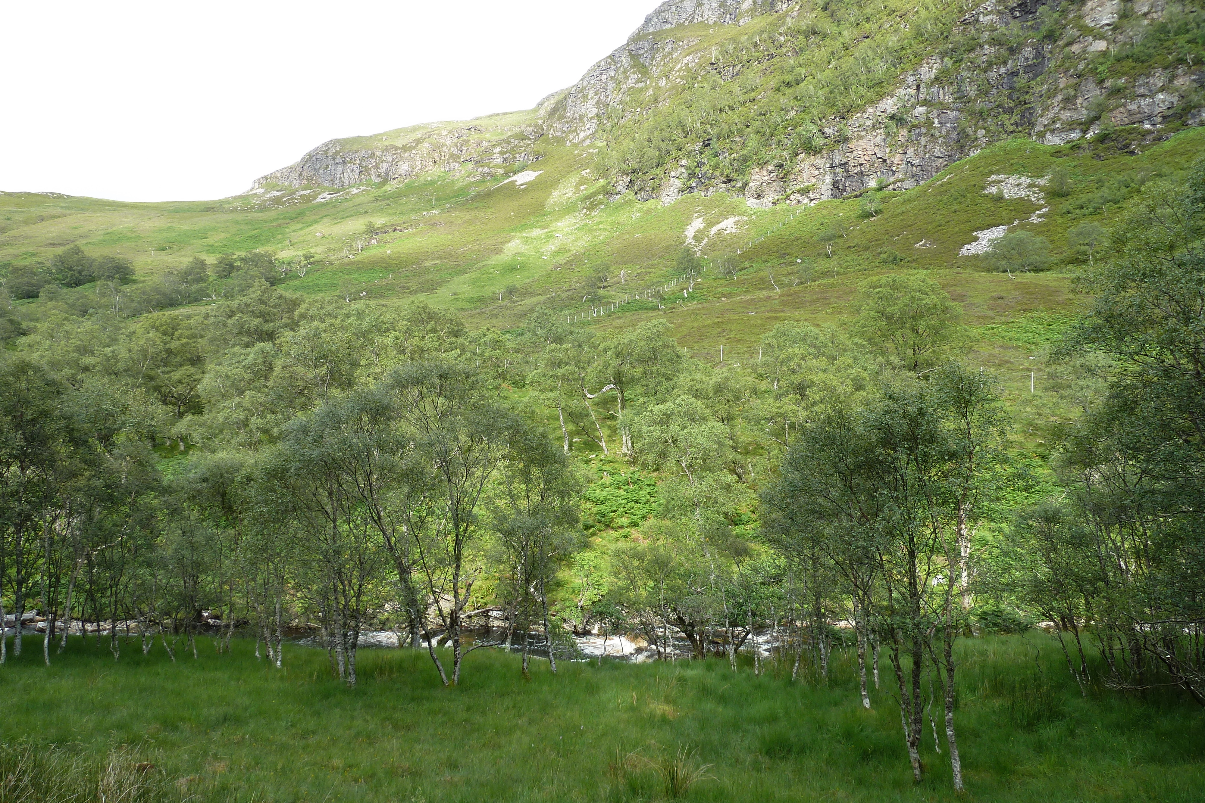 Picture United Kingdom Wester Ross 2011-07 119 - Tour Wester Ross