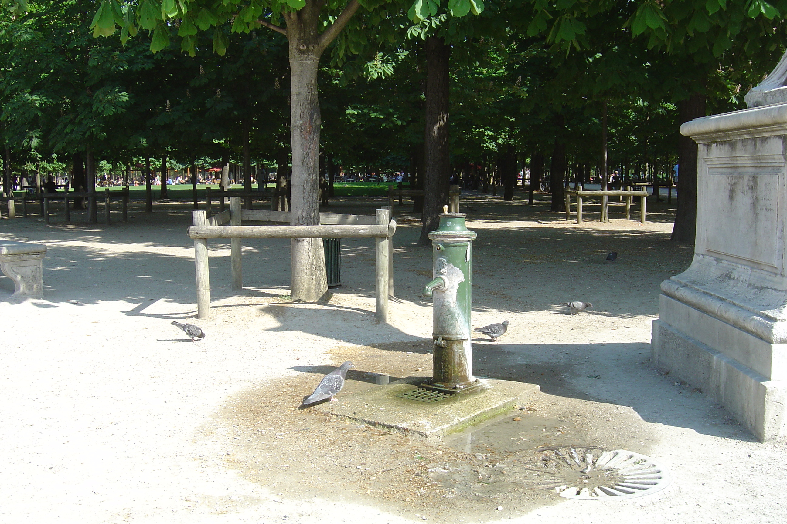 Picture France Paris Garden of Tuileries 2007-05 108 - Center Garden of Tuileries