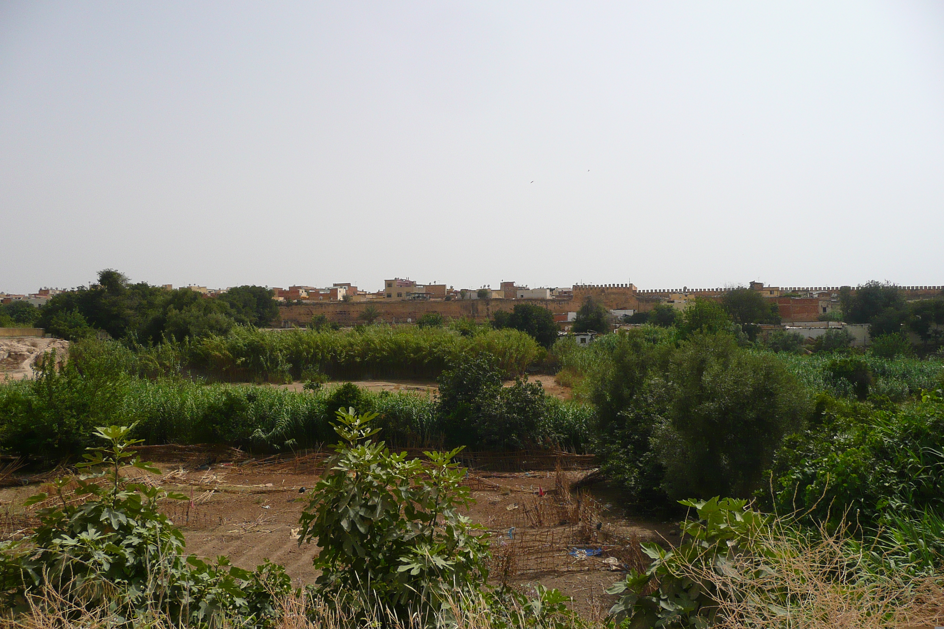 Picture Morocco Meknes 2008-07 47 - Recreation Meknes