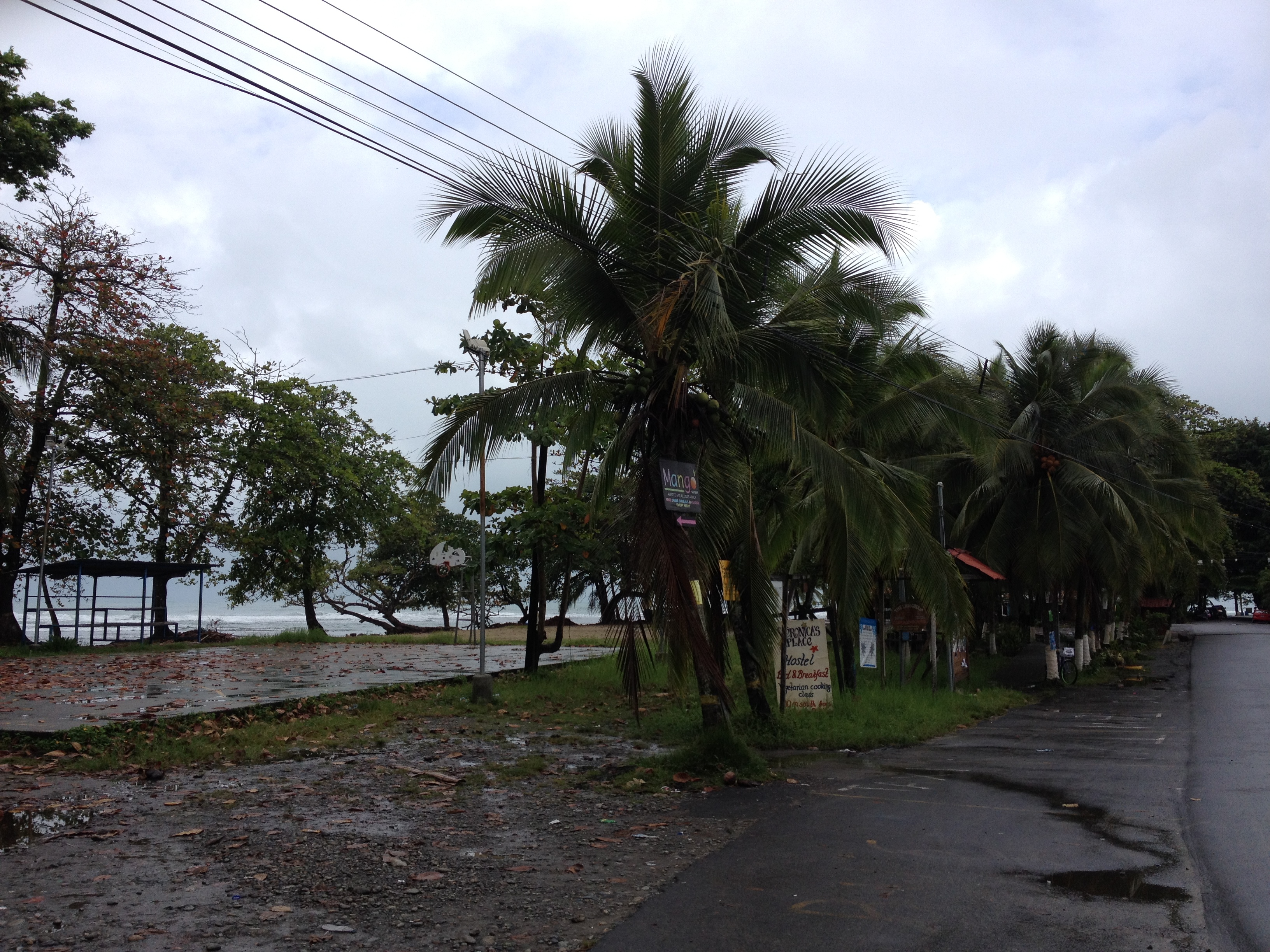 Picture Costa Rica Puerto Viejo de Talamanca 2015-03 58 - History Puerto Viejo de Talamanca