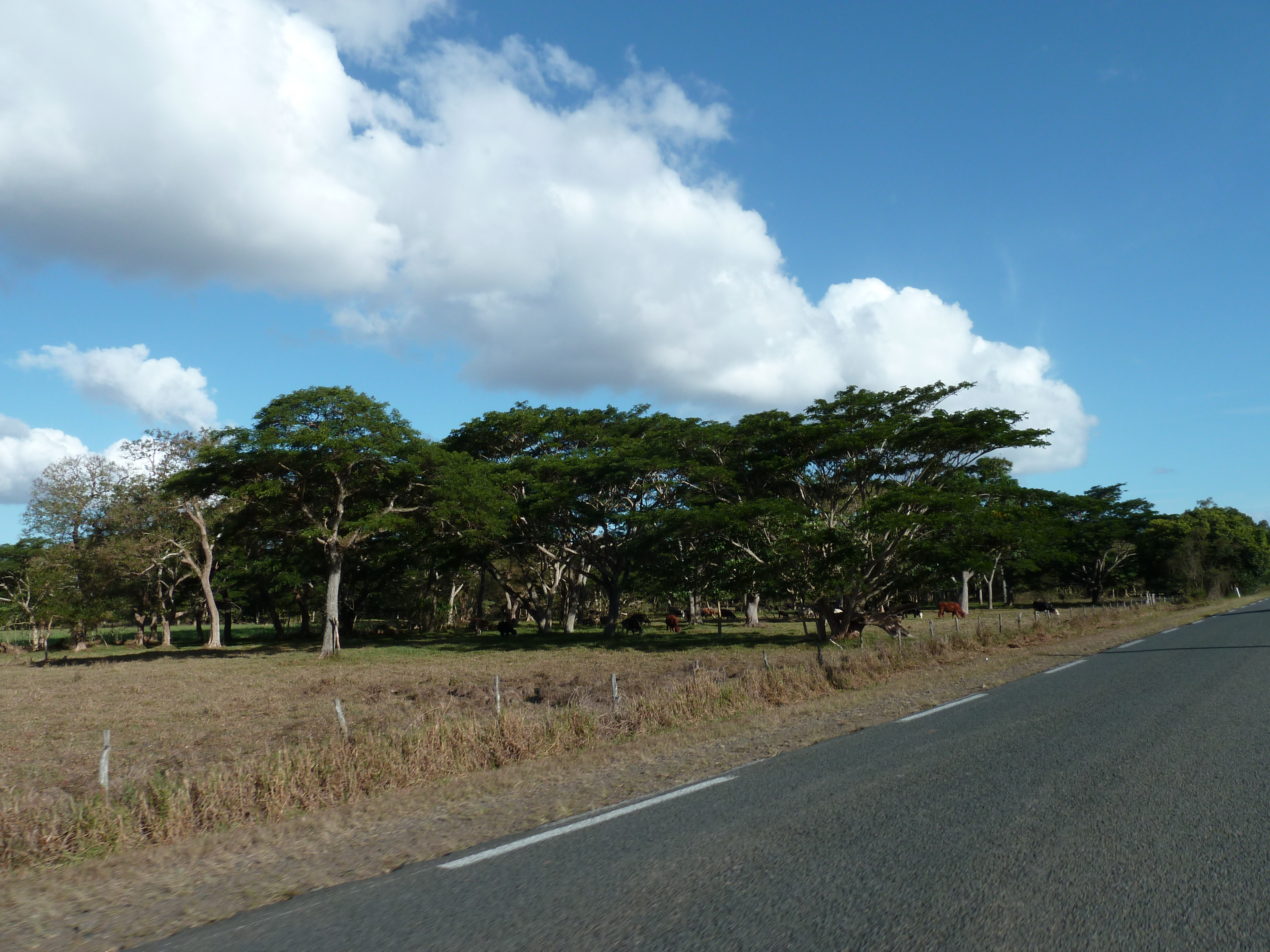 Picture New Caledonia Canala to La Foa road 2010-05 39 - Tour Canala to La Foa road