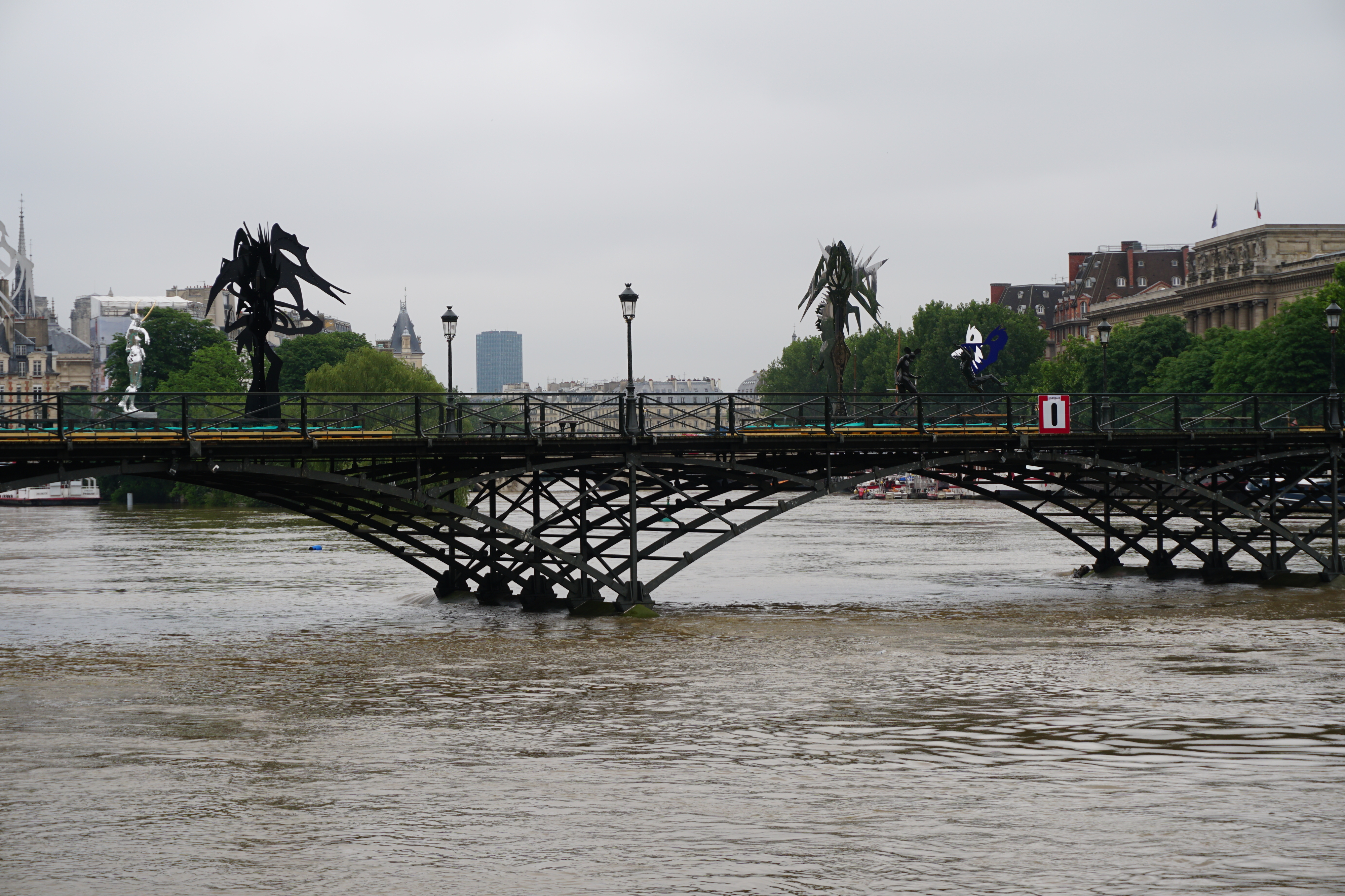 Picture France Paris Seine river 2016-06 28 - Tour Seine river