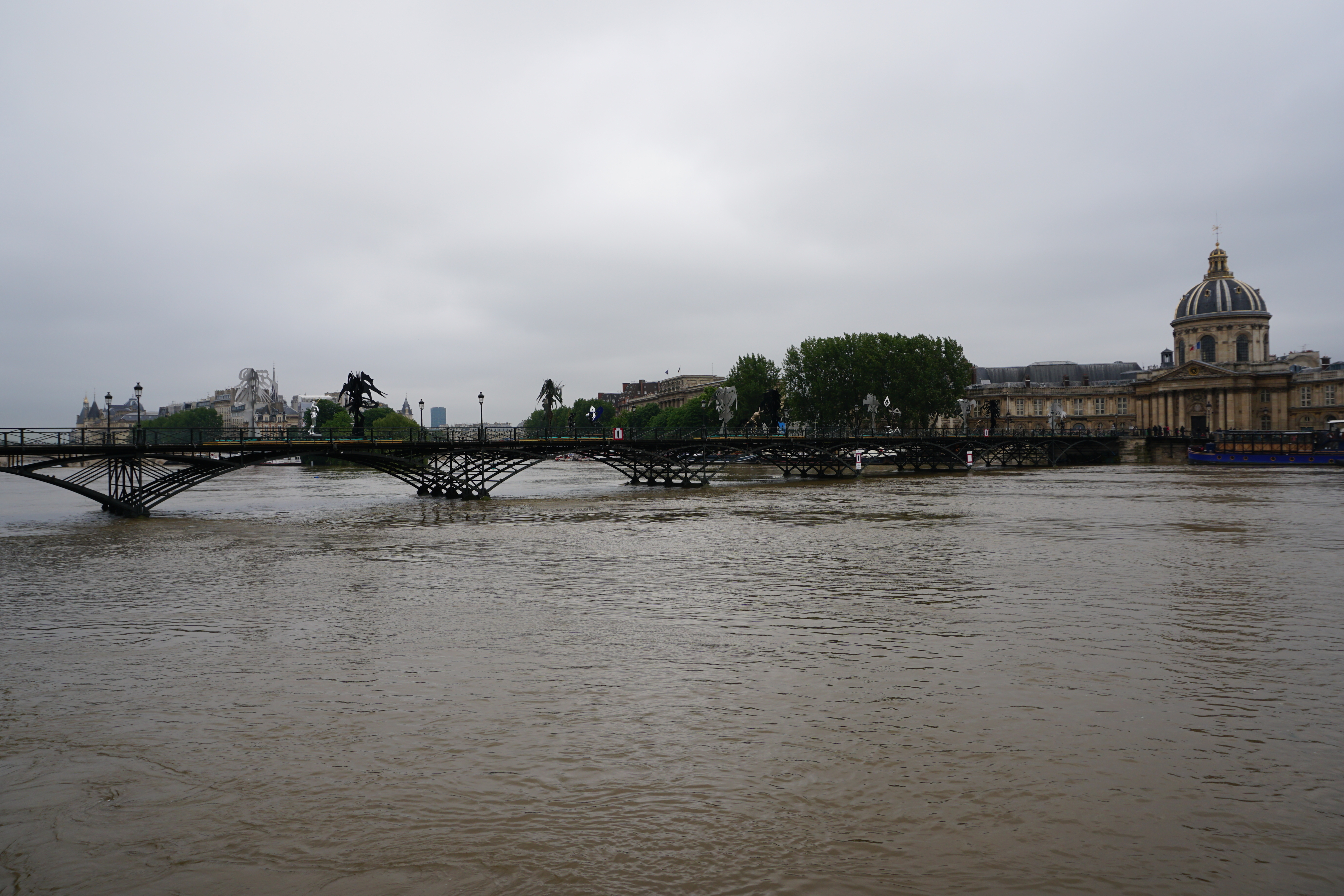 Picture France Paris Seine river 2016-06 23 - Center Seine river