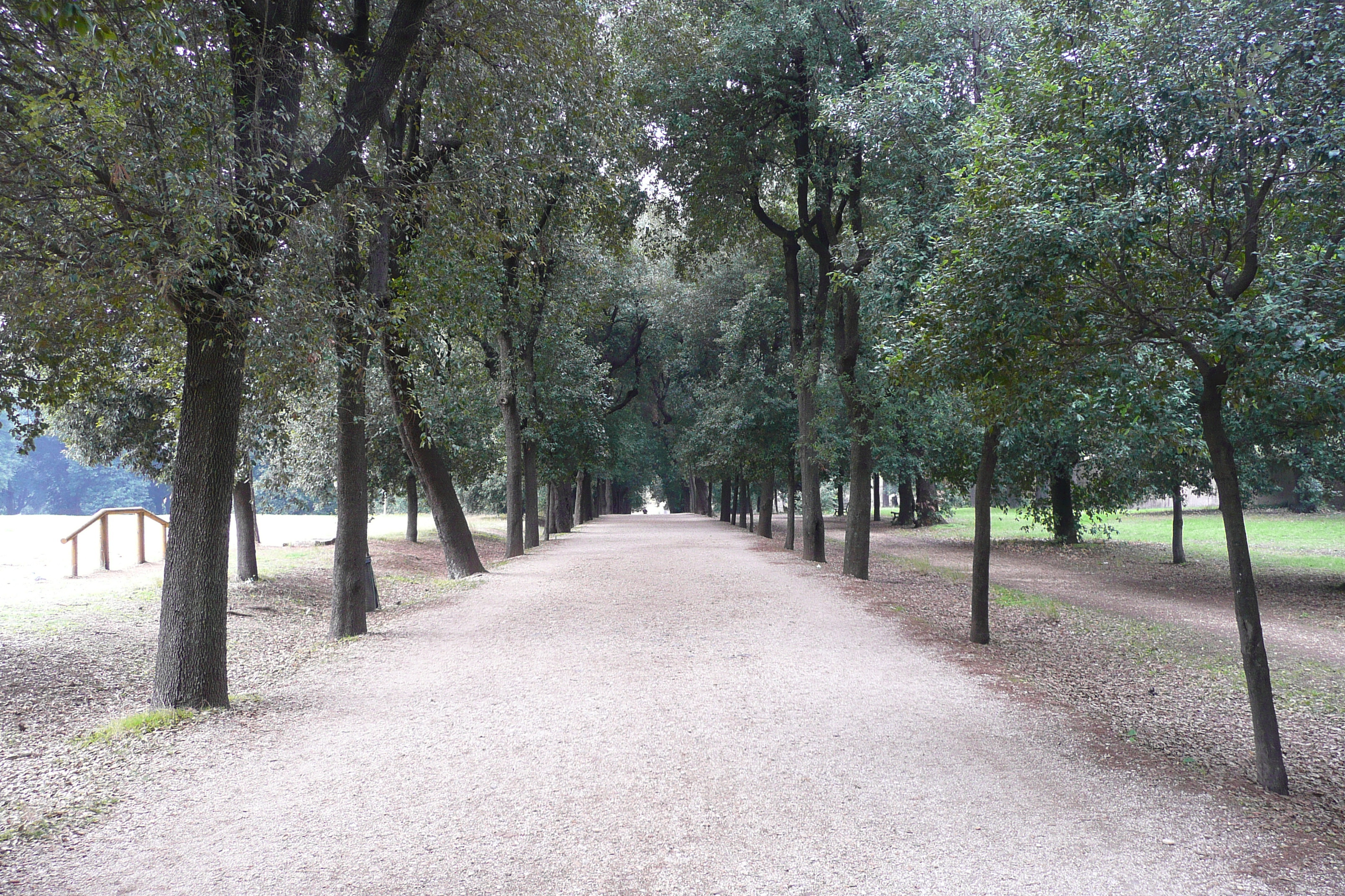 Picture Italy Rome Villa Doria Pamphili 2007-11 35 - Discovery Villa Doria Pamphili